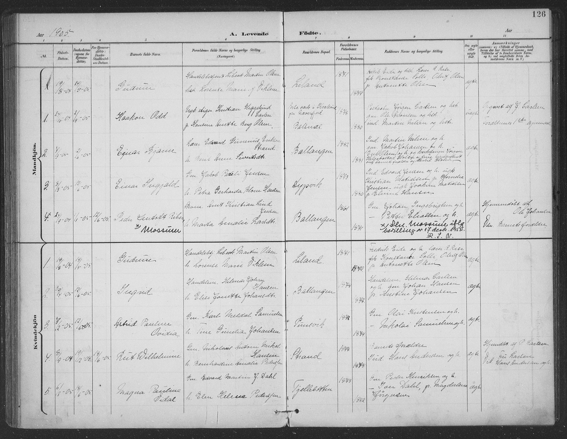 Ministerialprotokoller, klokkerbøker og fødselsregistre - Nordland, AV/SAT-A-1459/863/L0899: Parish register (official) no. 863A11, 1897-1906, p. 126