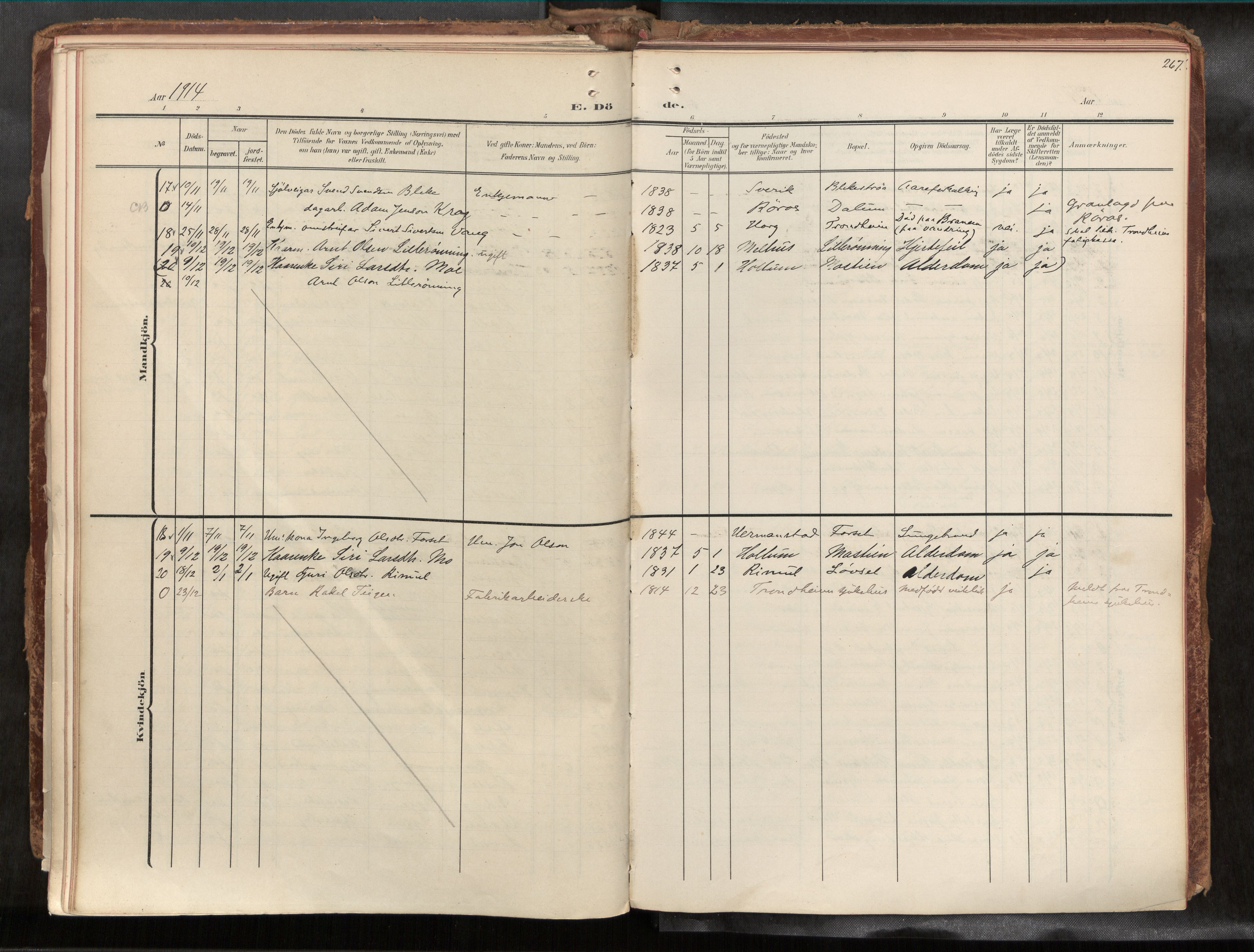 Ministerialprotokoller, klokkerbøker og fødselsregistre - Sør-Trøndelag, AV/SAT-A-1456/691/L1085b: Parish register (official) no. 691A18, 1908-1930, p. 267