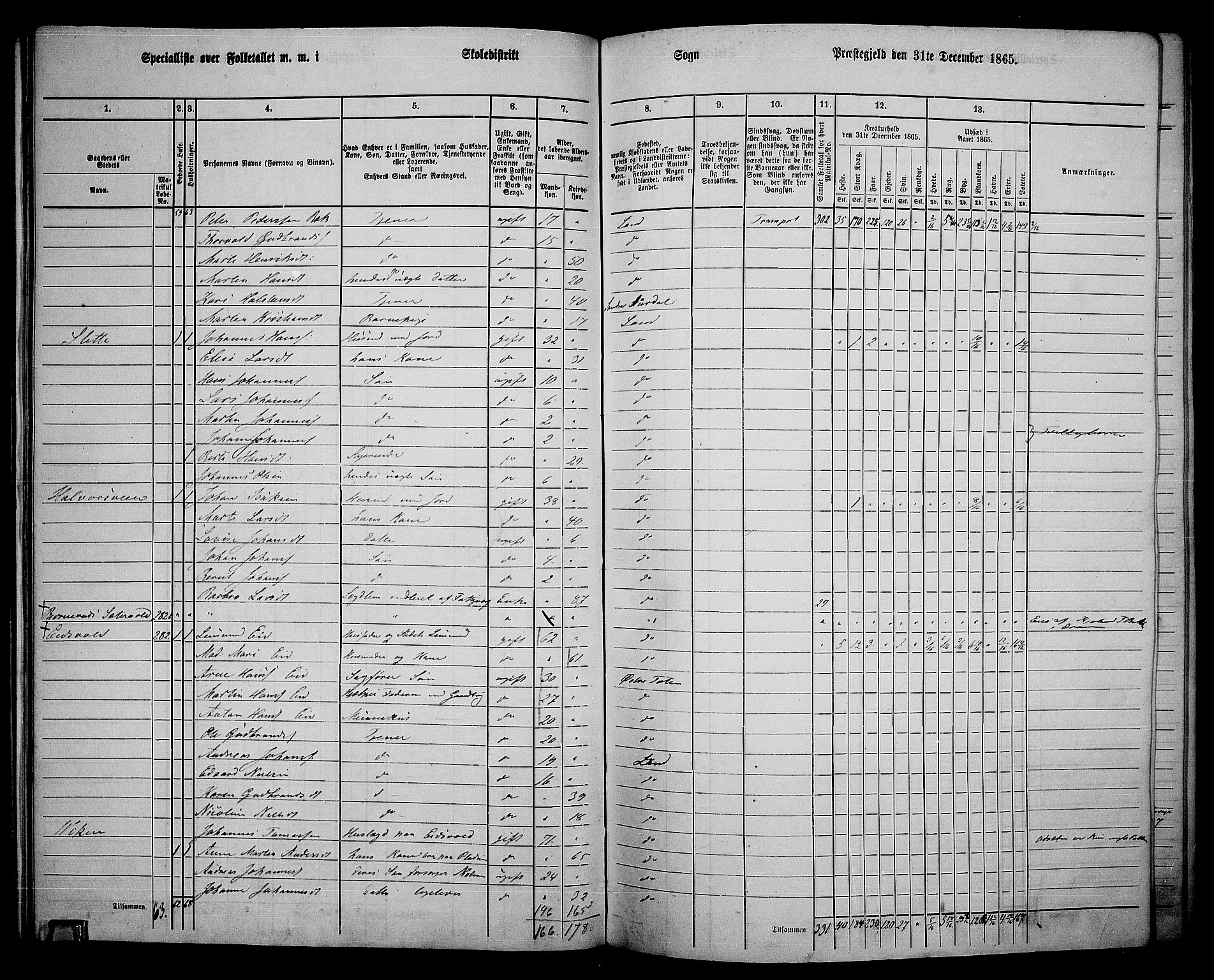 RA, 1865 census for Land, 1865, p. 313