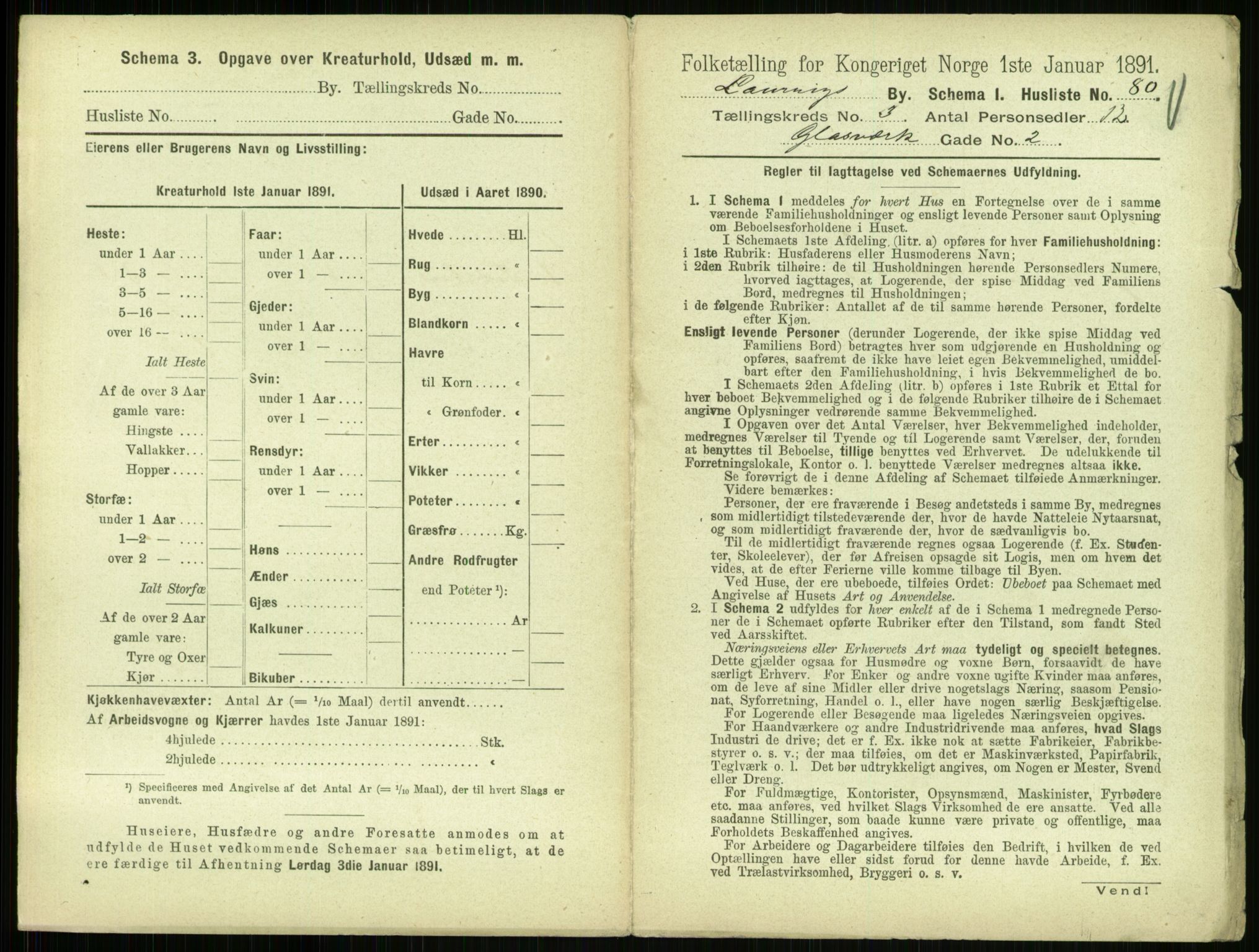 RA, 1891 census for 0707 Larvik, 1891, p. 529