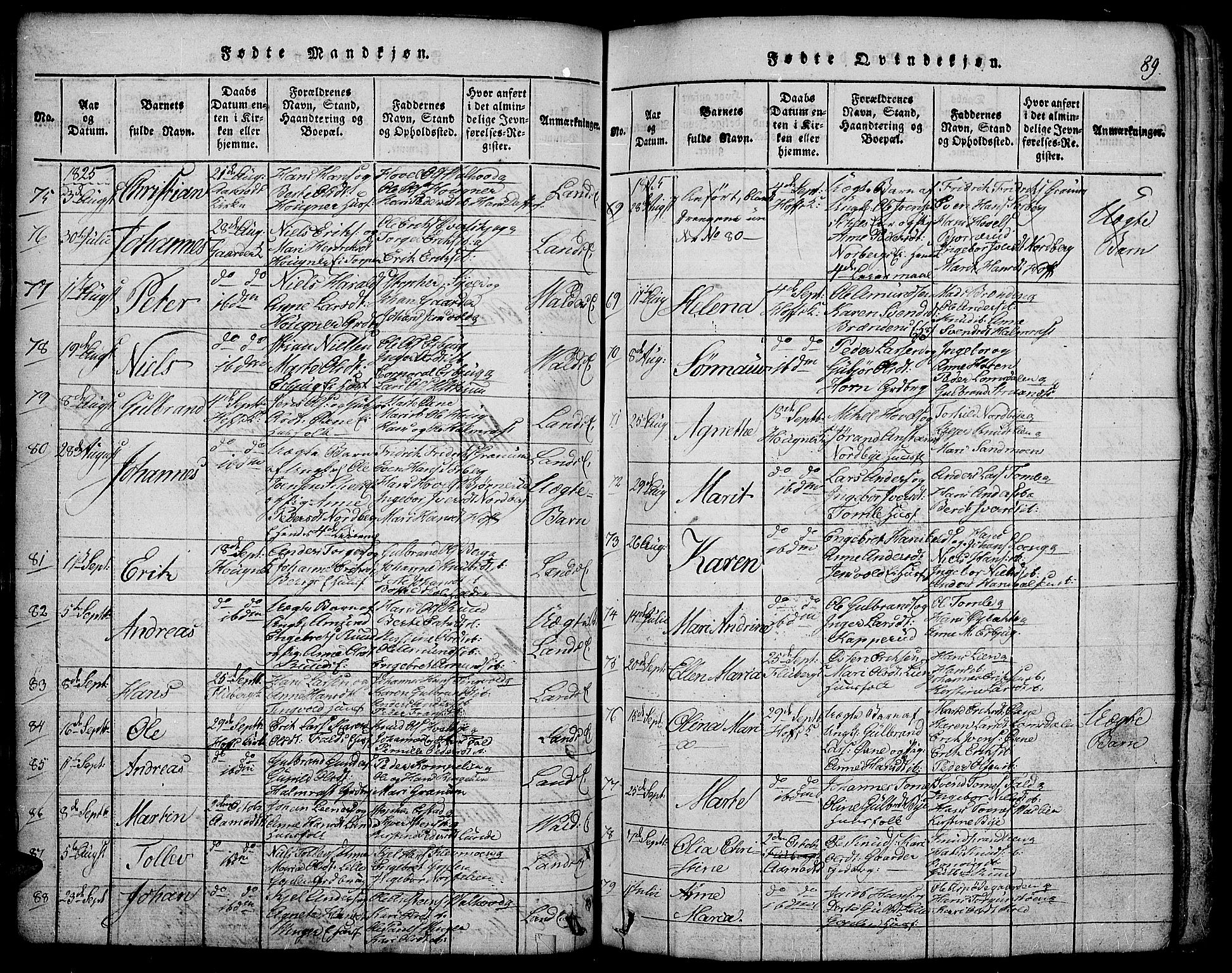 Land prestekontor, AV/SAH-PREST-120/H/Ha/Hab/L0001: Parish register (copy) no. 1, 1814-1833, p. 89