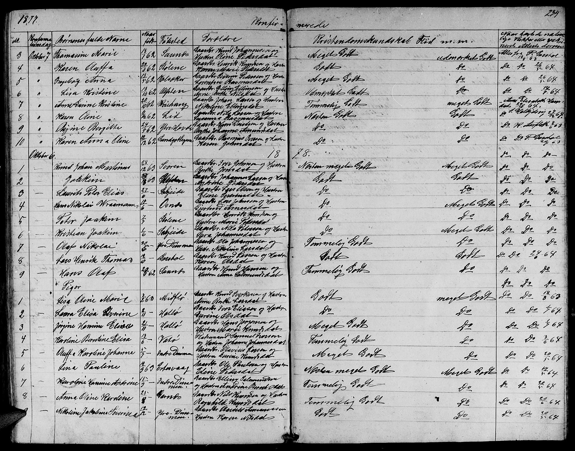 Ministerialprotokoller, klokkerbøker og fødselsregistre - Møre og Romsdal, SAT/A-1454/509/L0111: Parish register (copy) no. 509C01, 1854-1882, p. 234