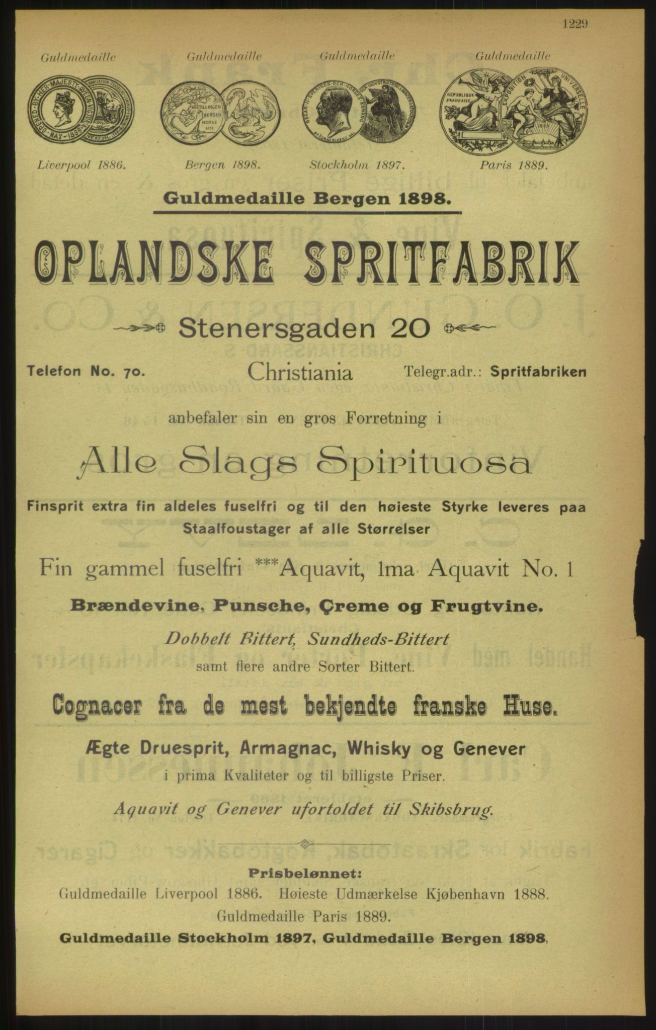 Kristiania/Oslo adressebok, PUBL/-, 1900, p. 1229