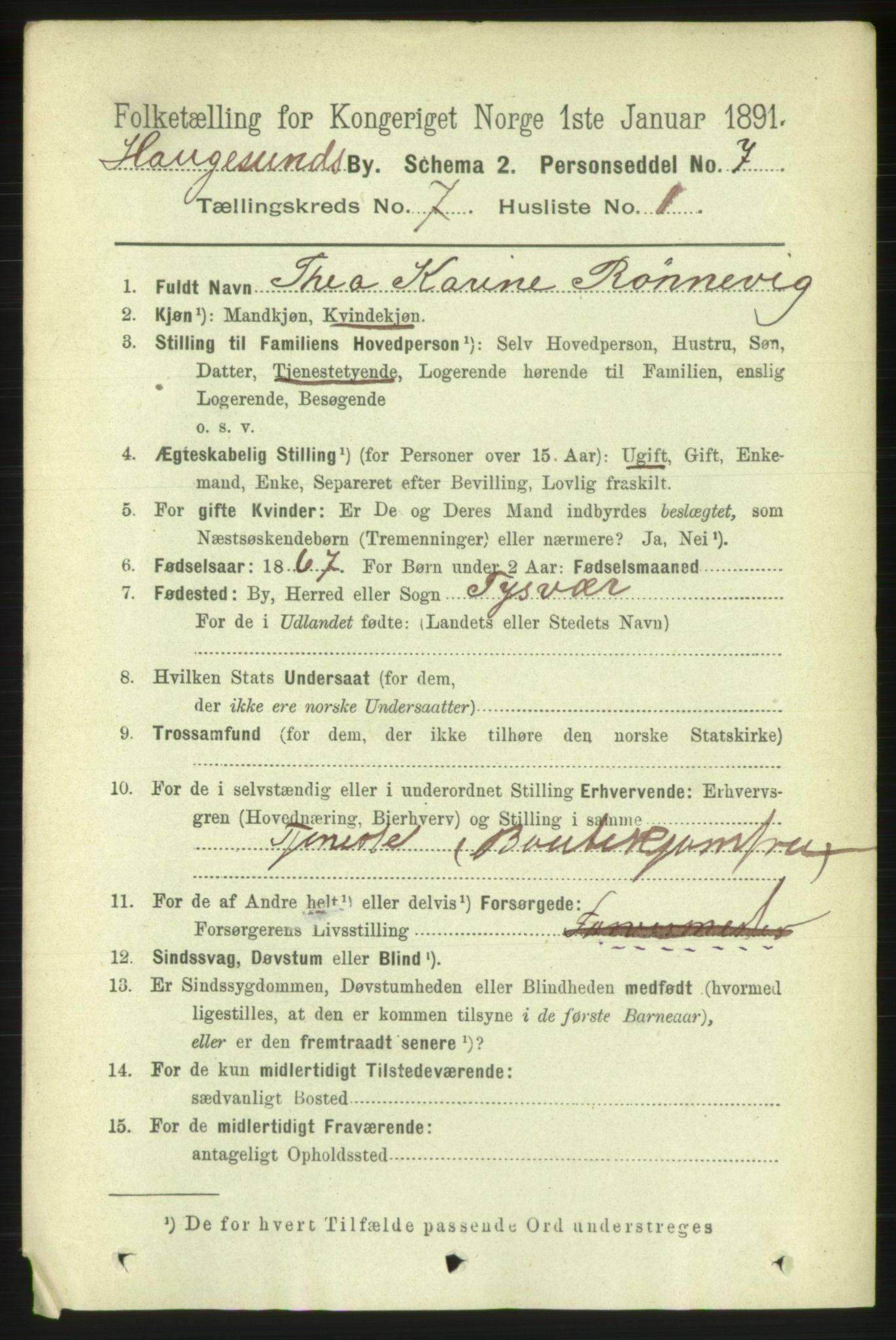 RA, 1891 census for 1106 Haugesund, 1891, p. 3082