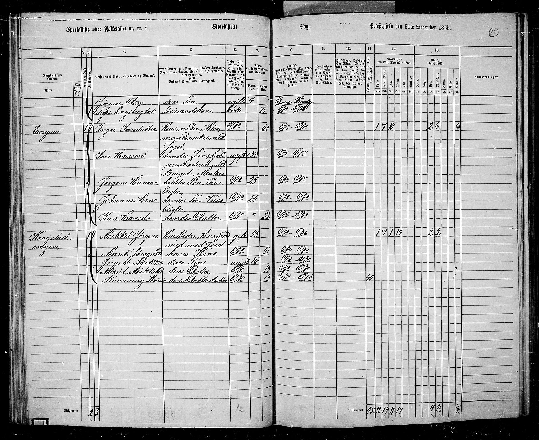 RA, 1865 census for Dovre, 1865, p. 81