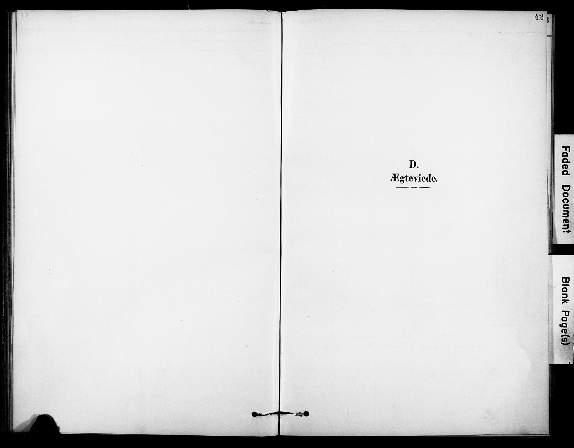 Borre kirkebøker, SAKO/A-338/F/Fb/L0002: Parish register (official) no. II 2, 1893-1905, p. 42
