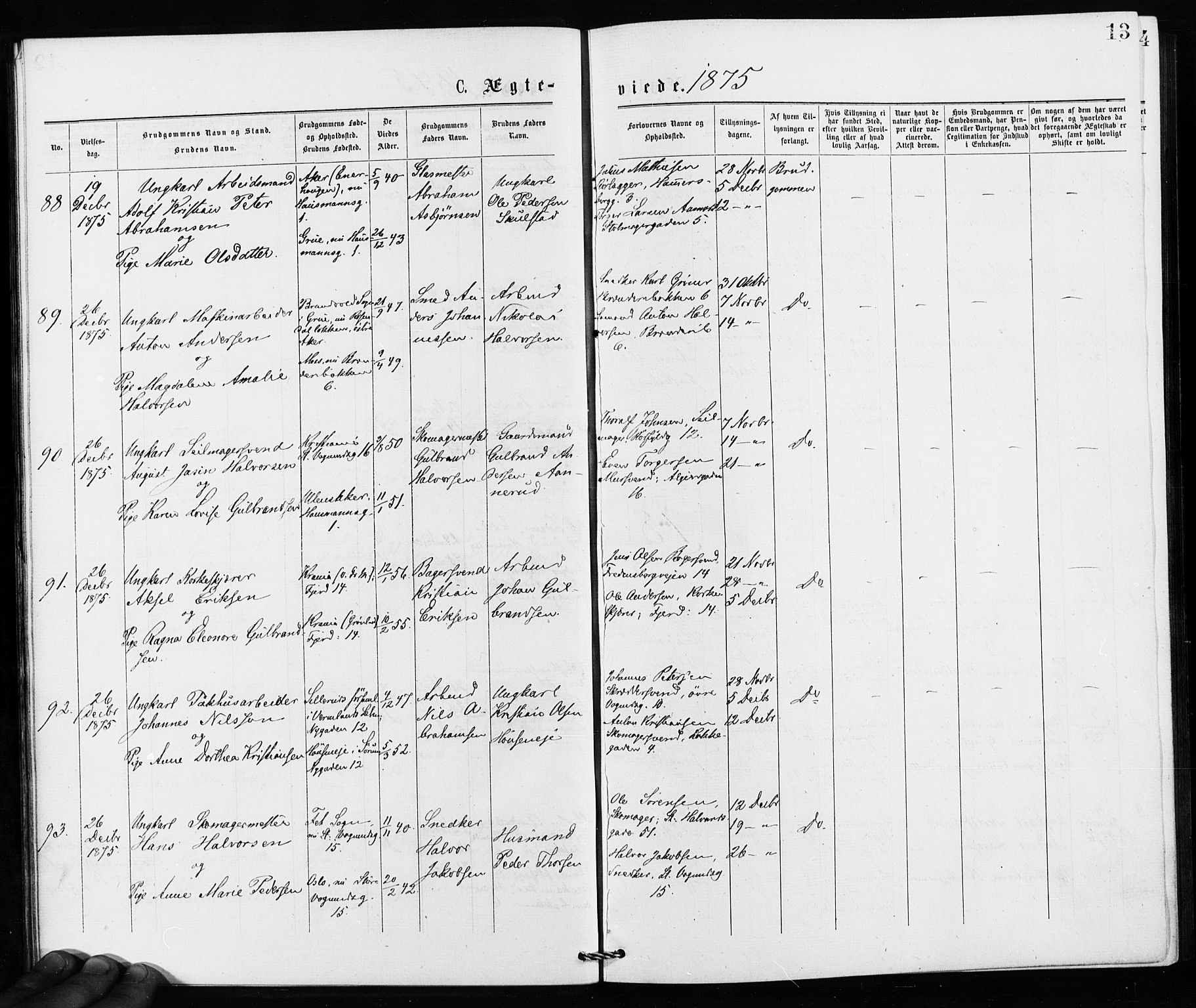 Jakob prestekontor Kirkebøker, SAO/A-10850/F/Fa/L0002: Parish register (official) no. 2, 1875-1879, p. 13