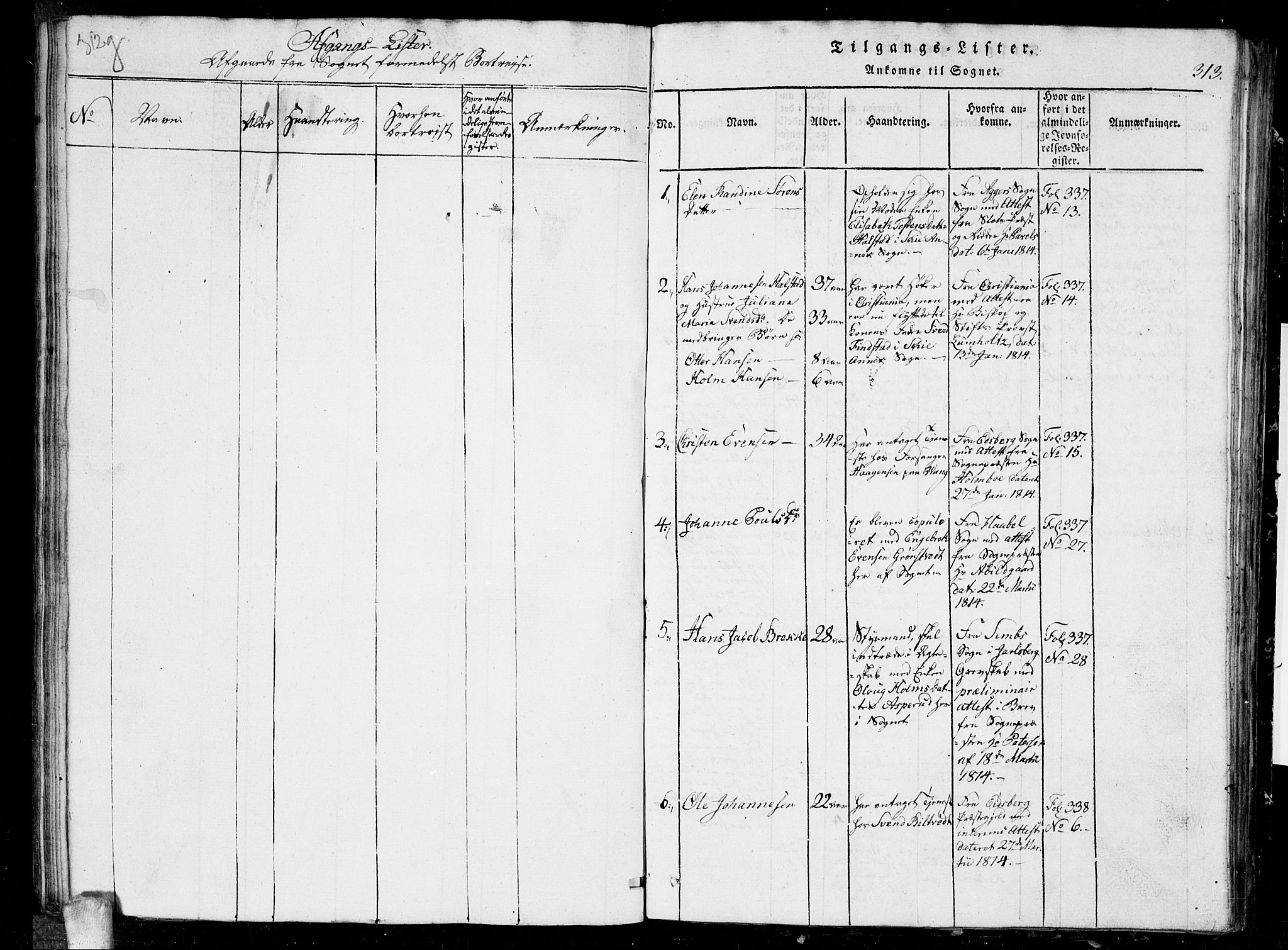 Kråkstad prestekontor Kirkebøker, SAO/A-10125a/G/Ga/L0001: Parish register (copy) no. I 1, 1813-1824, p. 313