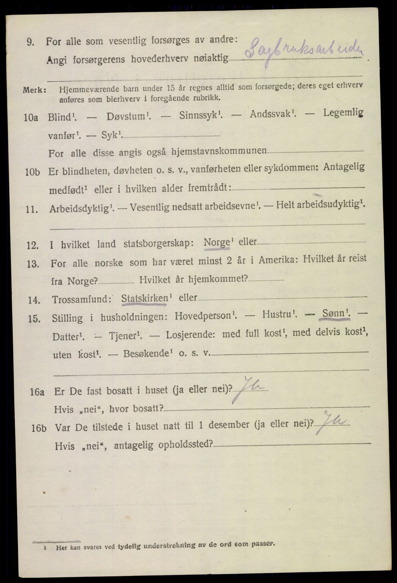 SAK, 1920 census for Hornnes, 1920, p. 2608
