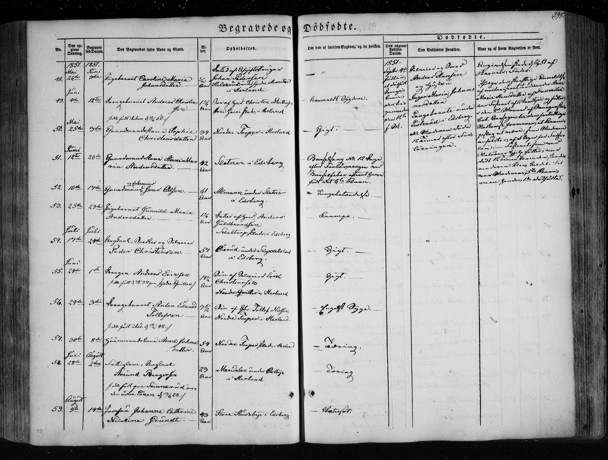 Eidsberg prestekontor Kirkebøker, AV/SAO-A-10905/F/Fa/L0009: Parish register (official) no. I 9, 1849-1856, p. 295