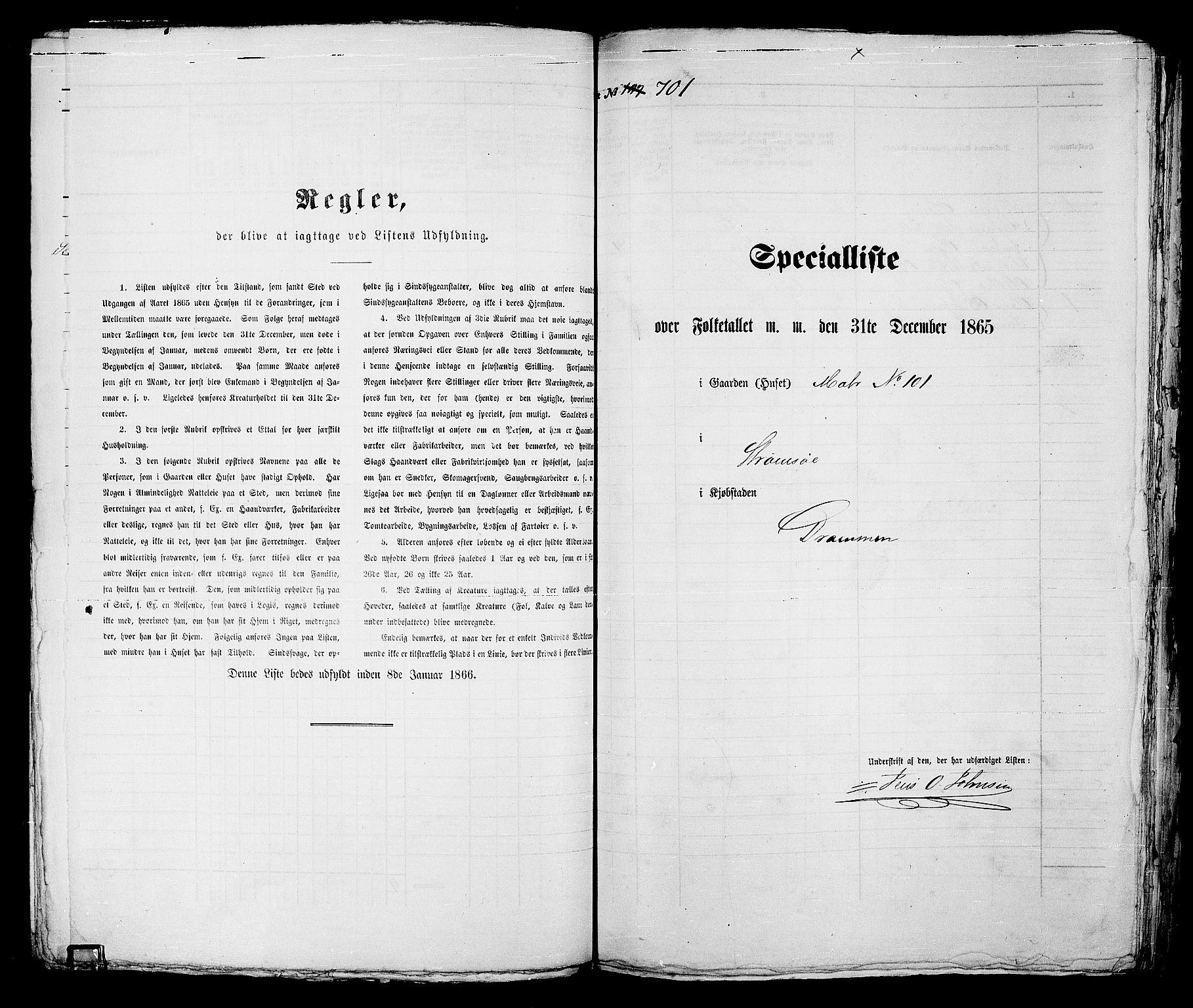 RA, 1865 census for Strømsø in Drammen, 1865, p. 217