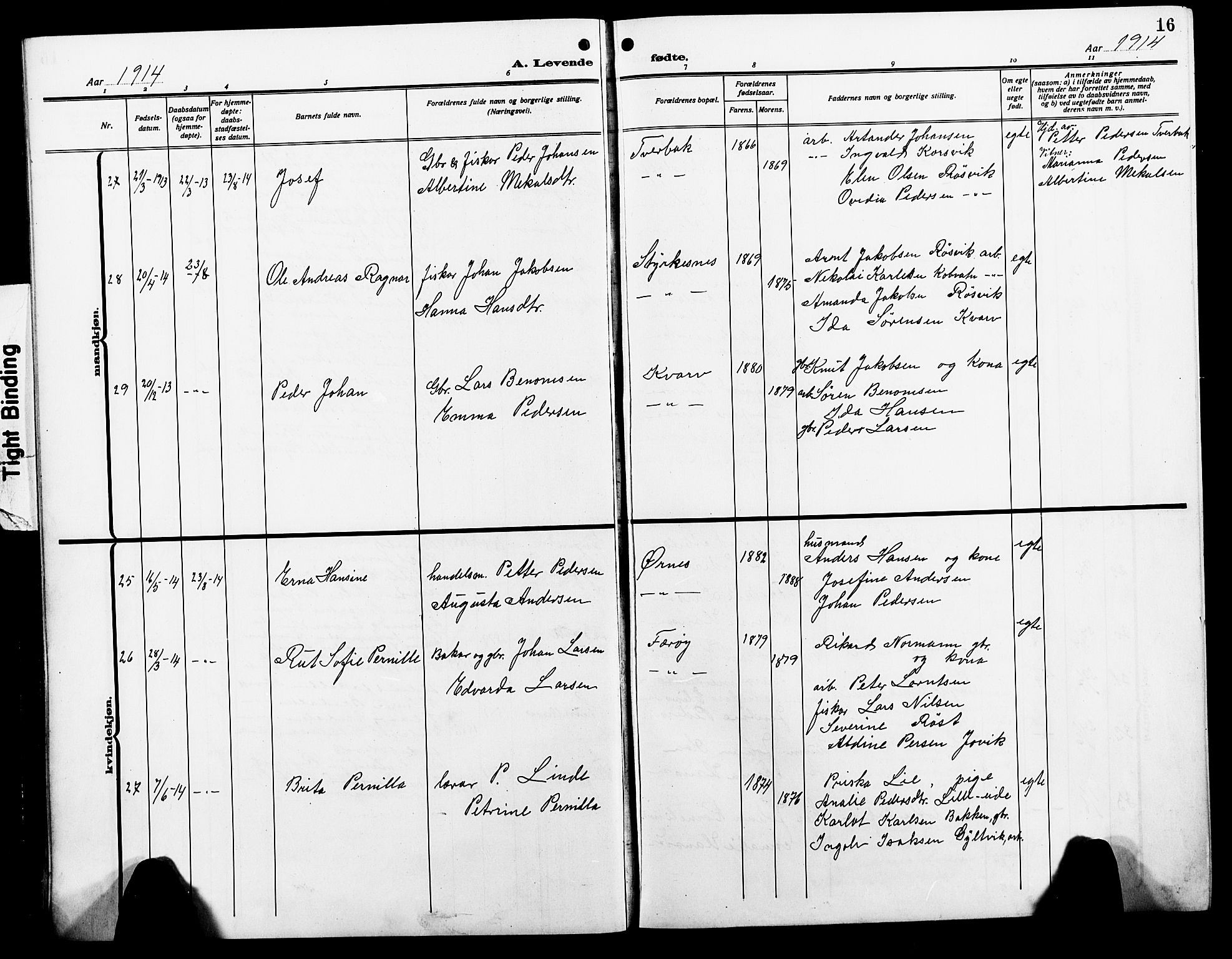 Ministerialprotokoller, klokkerbøker og fødselsregistre - Nordland, AV/SAT-A-1459/854/L0787: Parish register (copy) no. 854C03, 1913-1926, p. 16