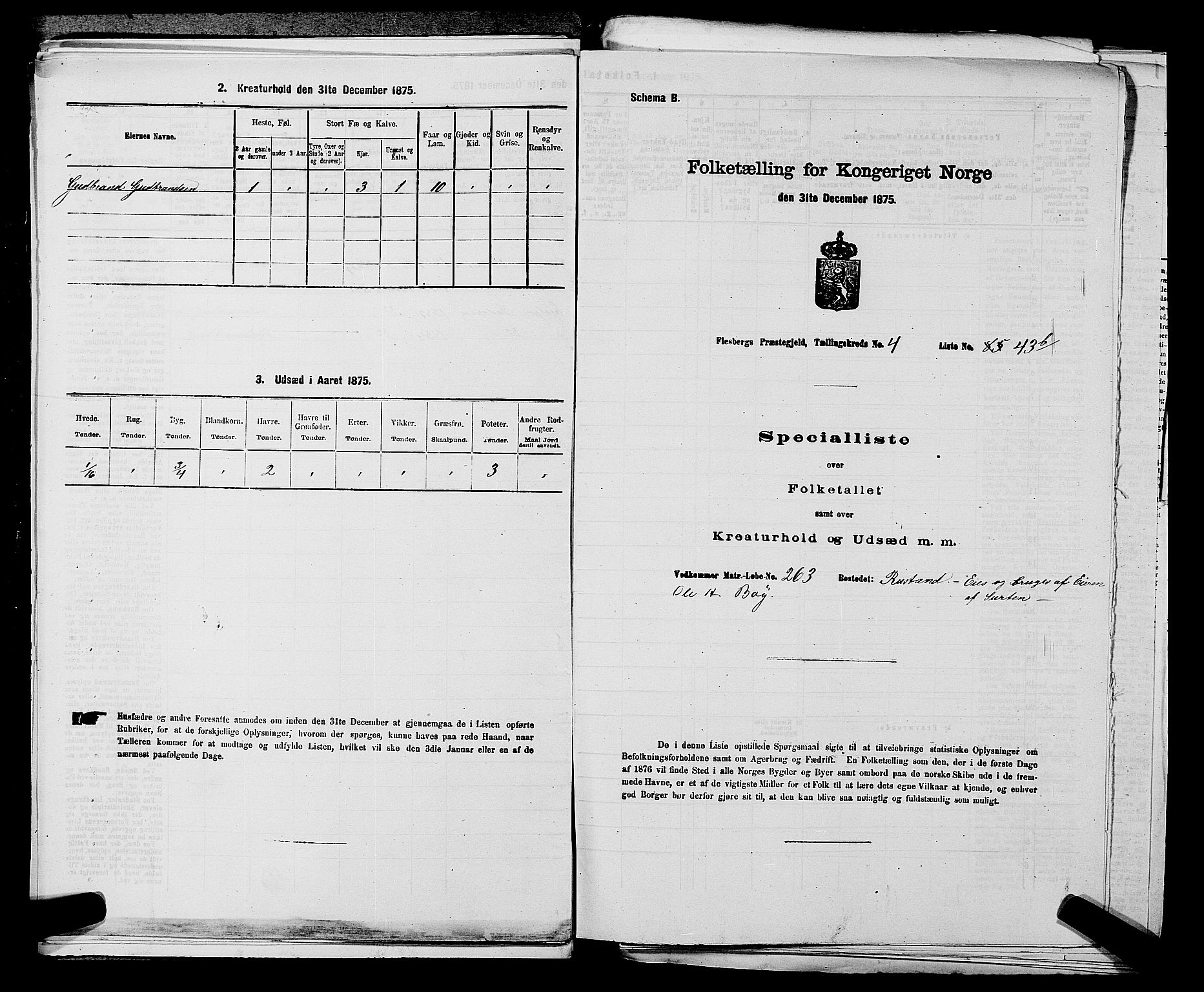 SAKO, 1875 census for 0631P Flesberg, 1875, p. 876