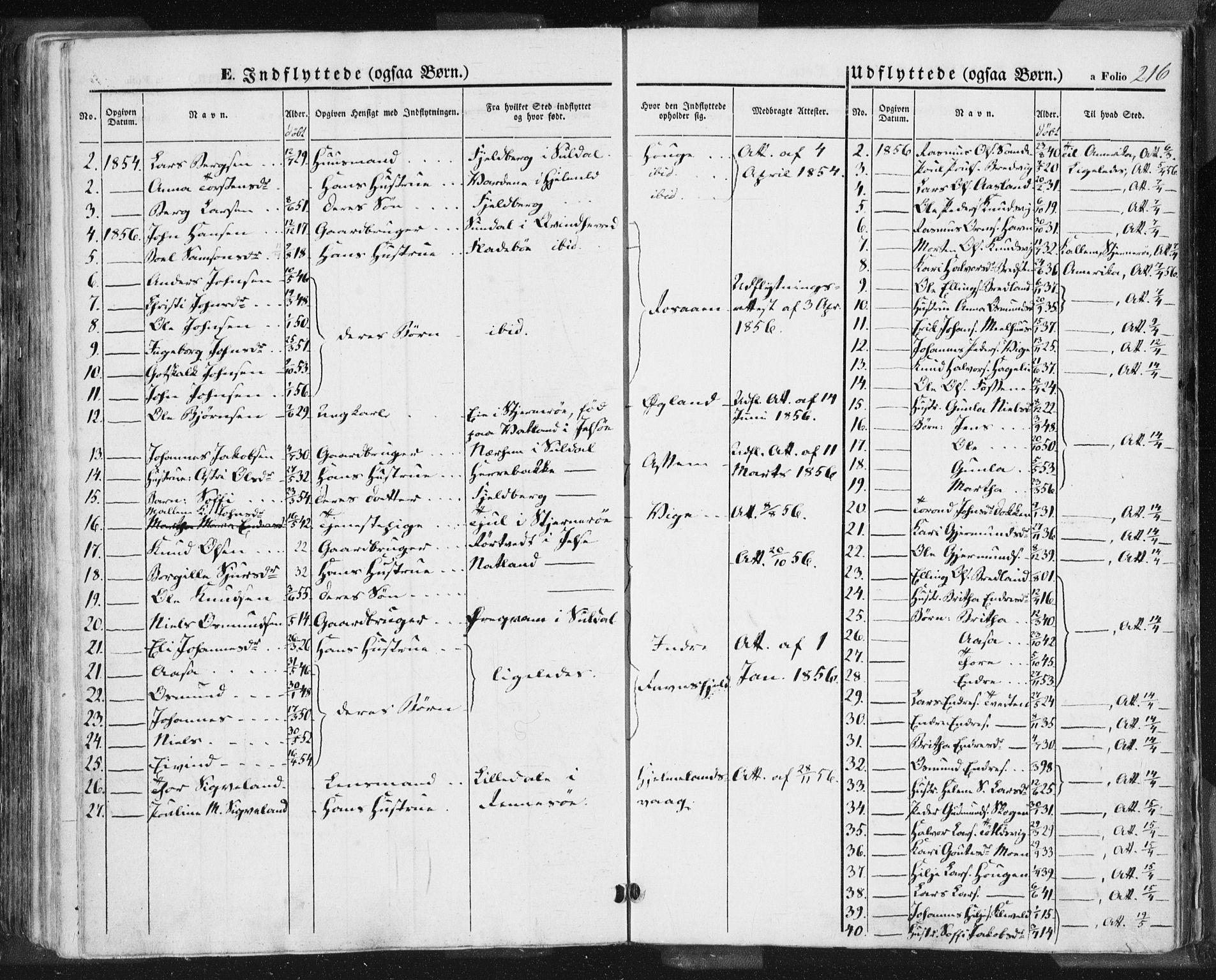 Hjelmeland sokneprestkontor, AV/SAST-A-101843/01/IV/L0009: Parish register (official) no. A 9, 1846-1860, p. 216