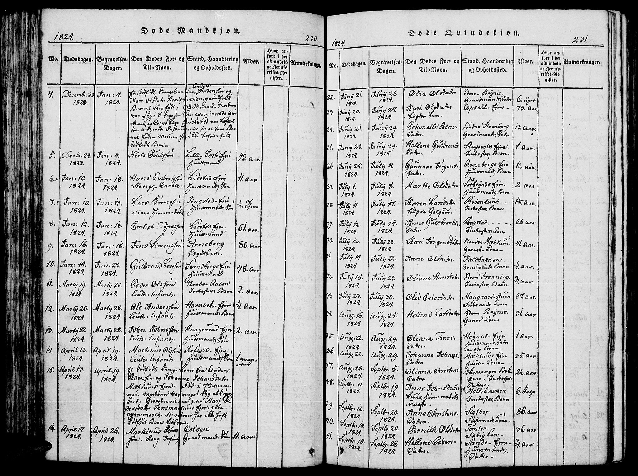 Romedal prestekontor, SAH/PREST-004/K/L0002: Parish register (official) no. 2, 1814-1828, p. 230-231