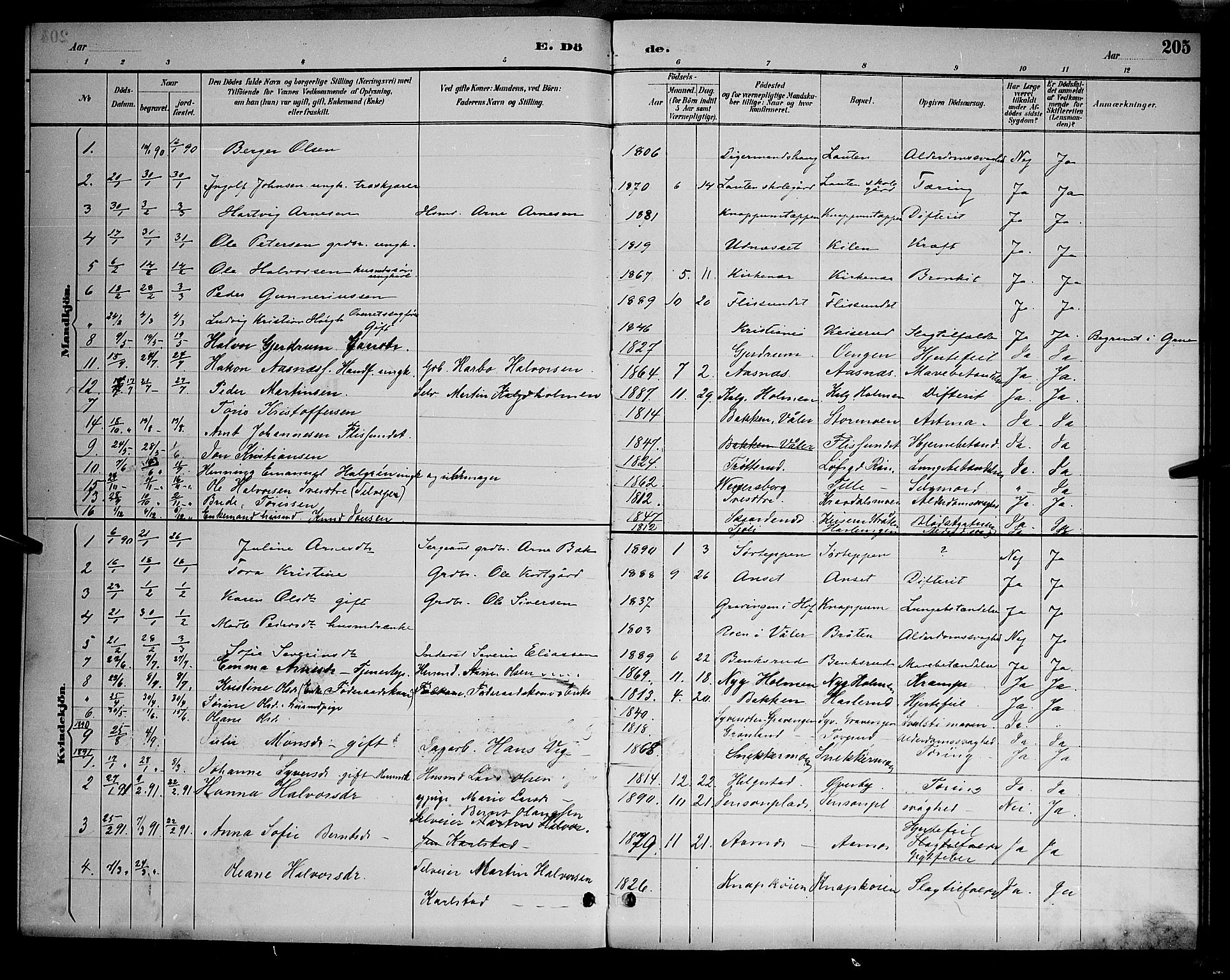 Åsnes prestekontor, SAH/PREST-042/H/Ha/Hab/L0001: Parish register (copy) no. 1, 1890-1891, p. 205