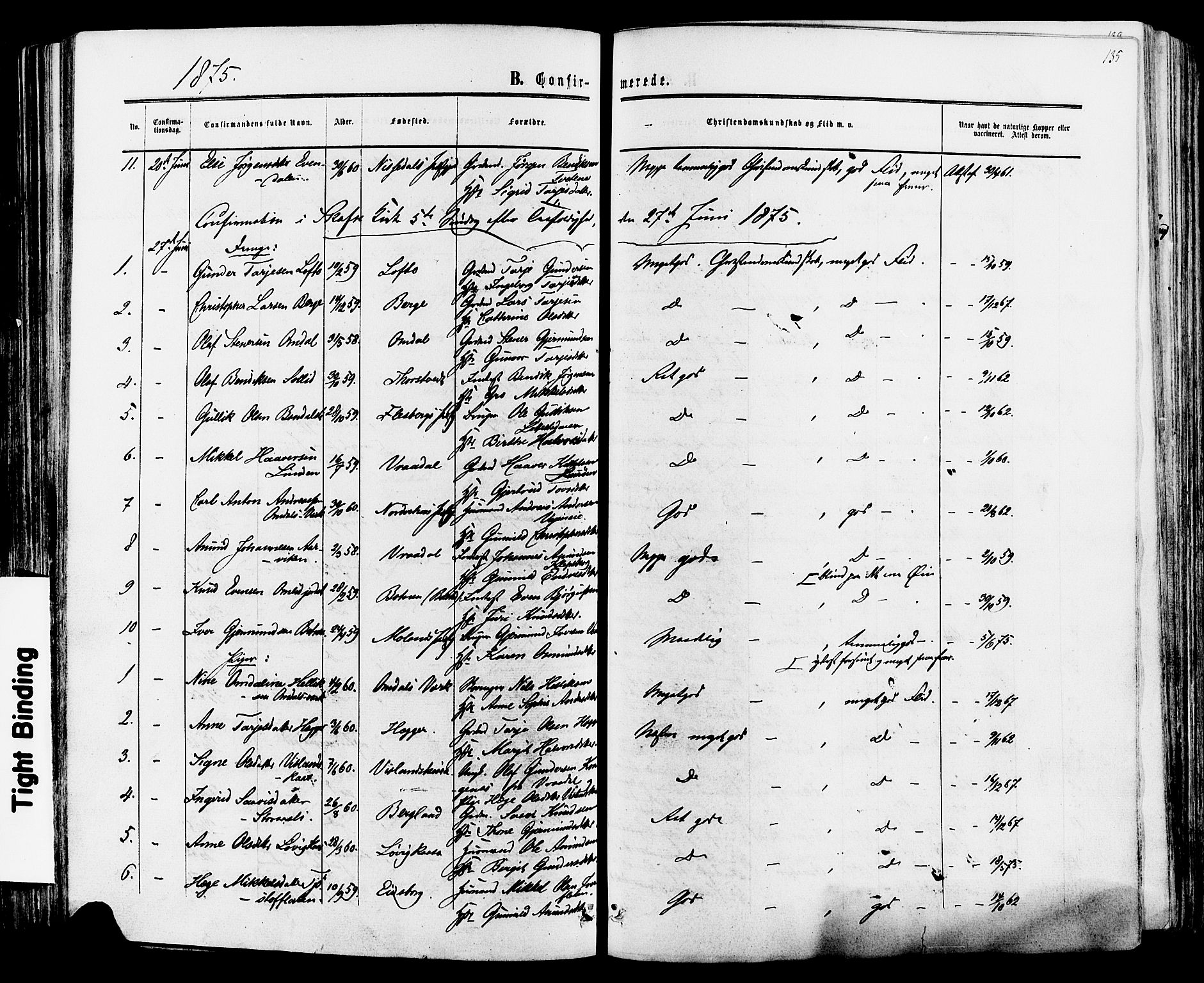 Mo kirkebøker, SAKO/A-286/F/Fa/L0006: Parish register (official) no. I 6, 1865-1885, p. 135