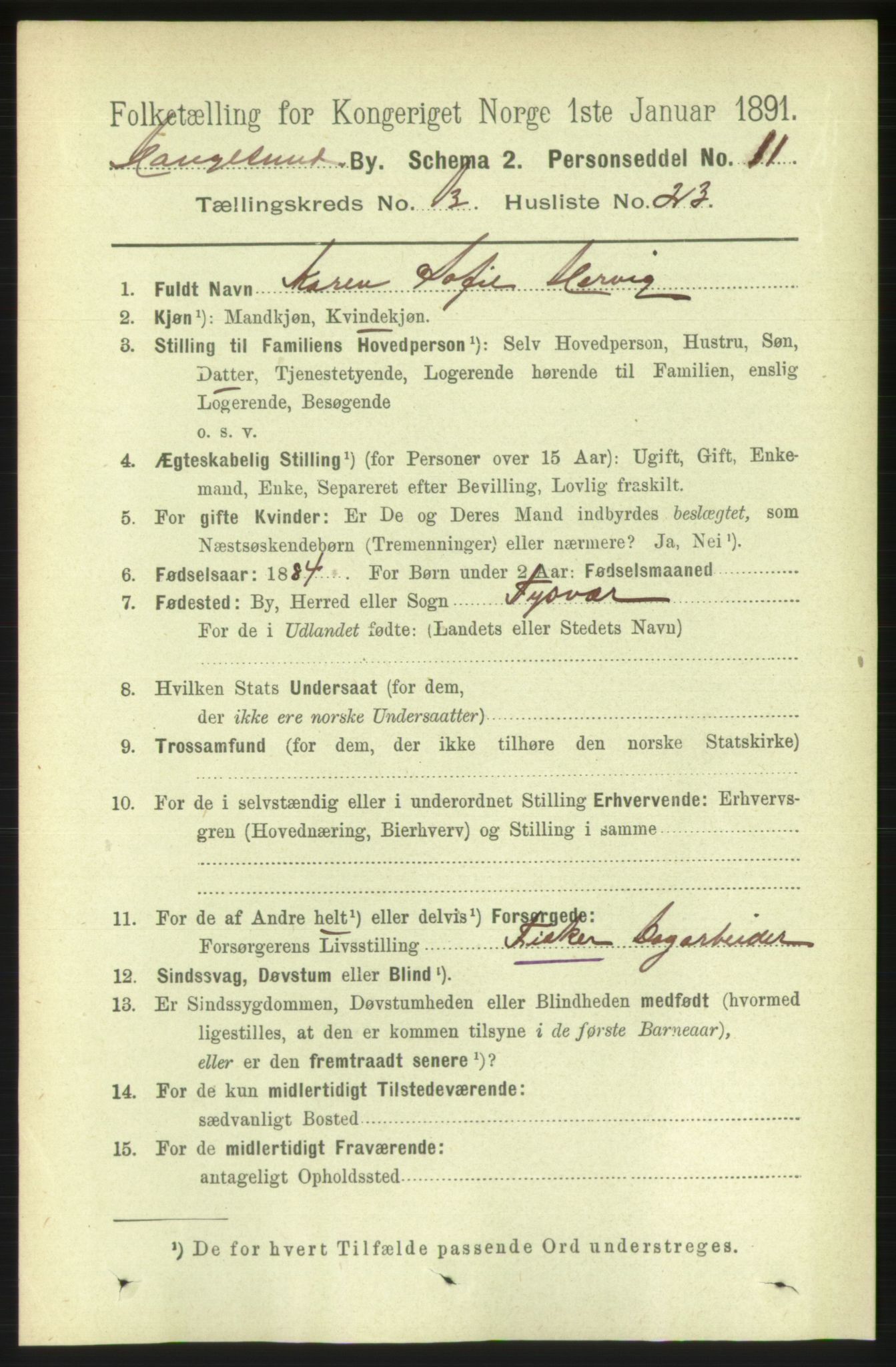 RA, 1891 census for 1106 Haugesund, 1891, p. 4563