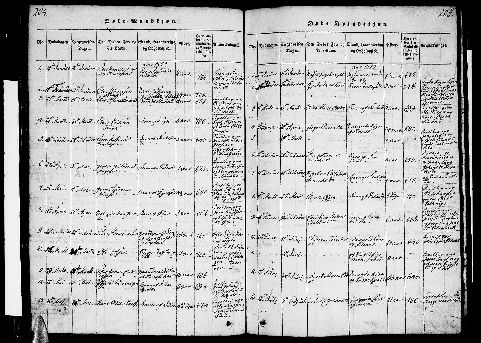 Ministerialprotokoller, klokkerbøker og fødselsregistre - Nordland, AV/SAT-A-1459/812/L0186: Parish register (copy) no. 812C04, 1820-1849, p. 204-205