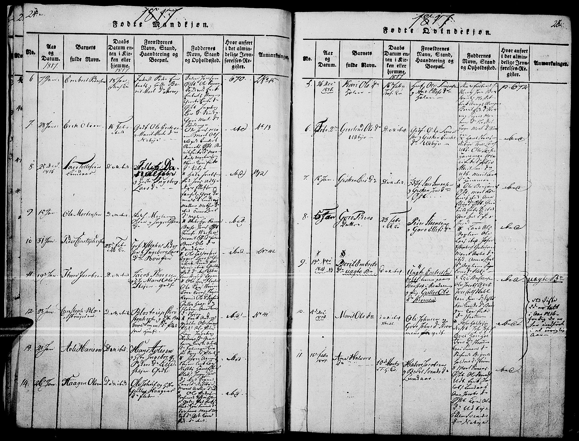 Tynset prestekontor, AV/SAH-PREST-058/H/Ha/Haa/L0018: Parish register (official) no. 18, 1815-1829, p. 24-25