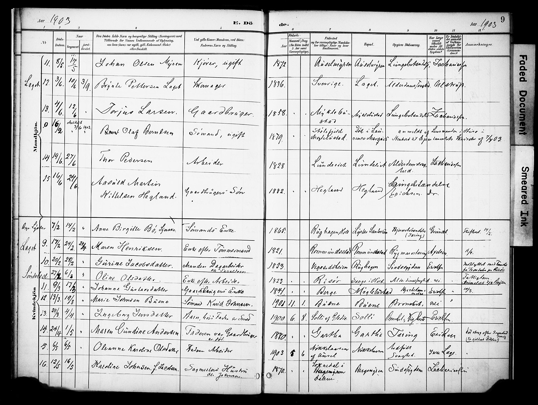 Holt sokneprestkontor, AV/SAK-1111-0021/F/Fa/L0013: Parish register (official) no. A 13, 1900-1912, p. 9