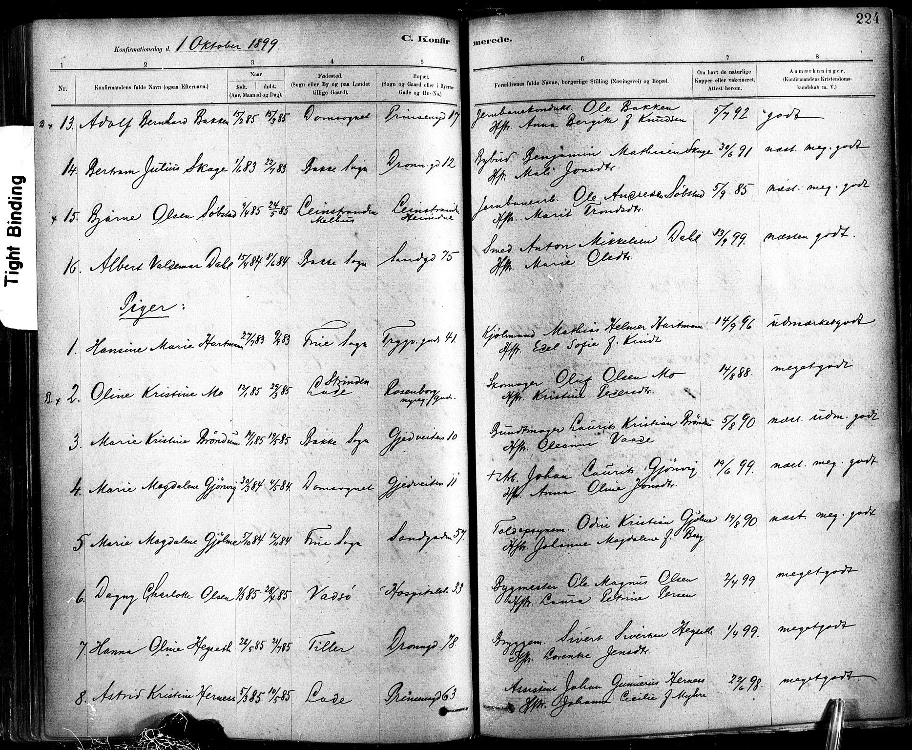 Ministerialprotokoller, klokkerbøker og fødselsregistre - Sør-Trøndelag, SAT/A-1456/602/L0119: Parish register (official) no. 602A17, 1880-1901, p. 224