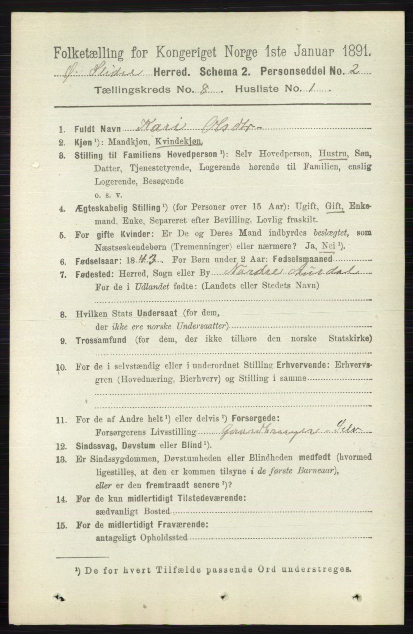 RA, 1891 census for 0544 Øystre Slidre, 1891, p. 2553