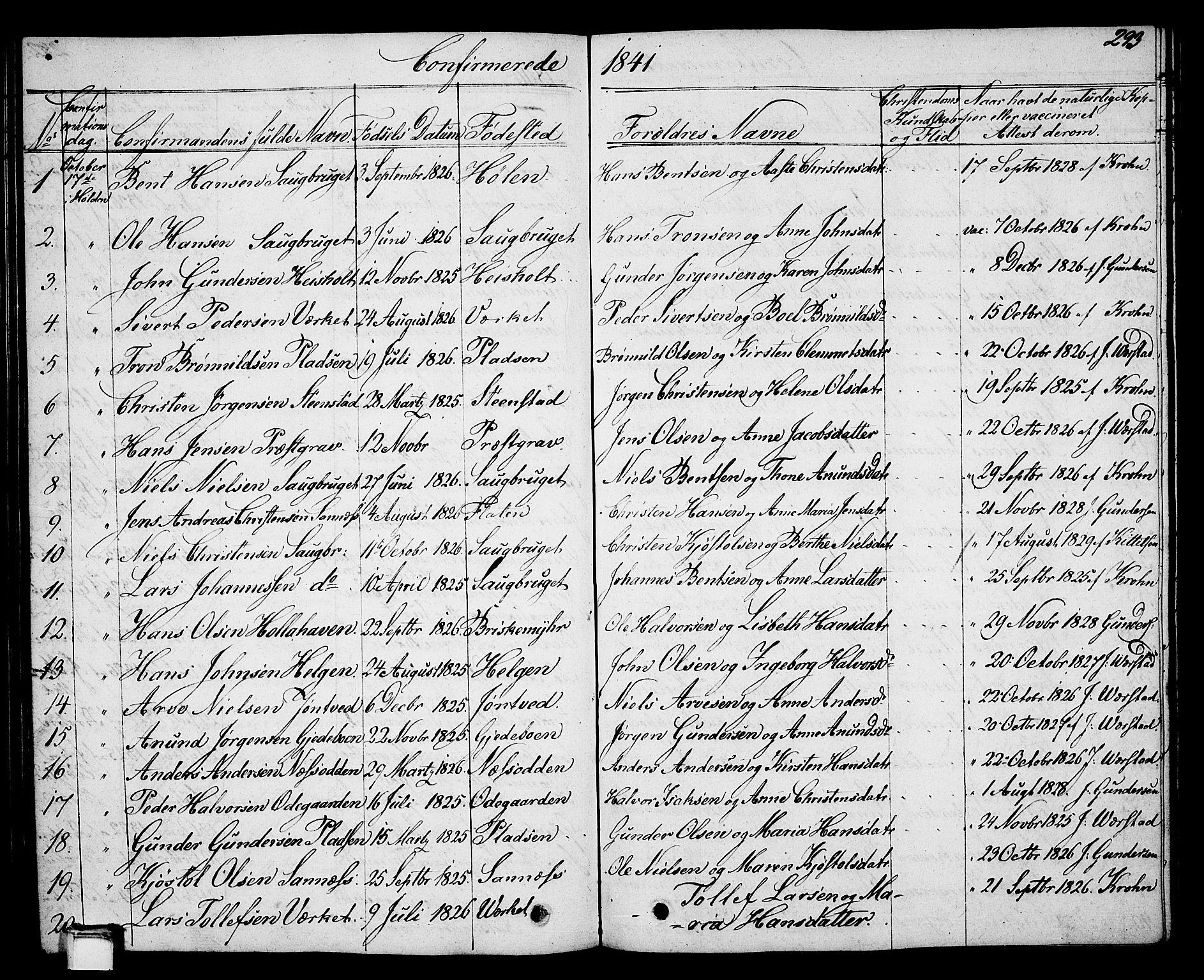 Holla kirkebøker, SAKO/A-272/G/Ga/L0002: Parish register (copy) no. I 2, 1830-1848, p. 293
