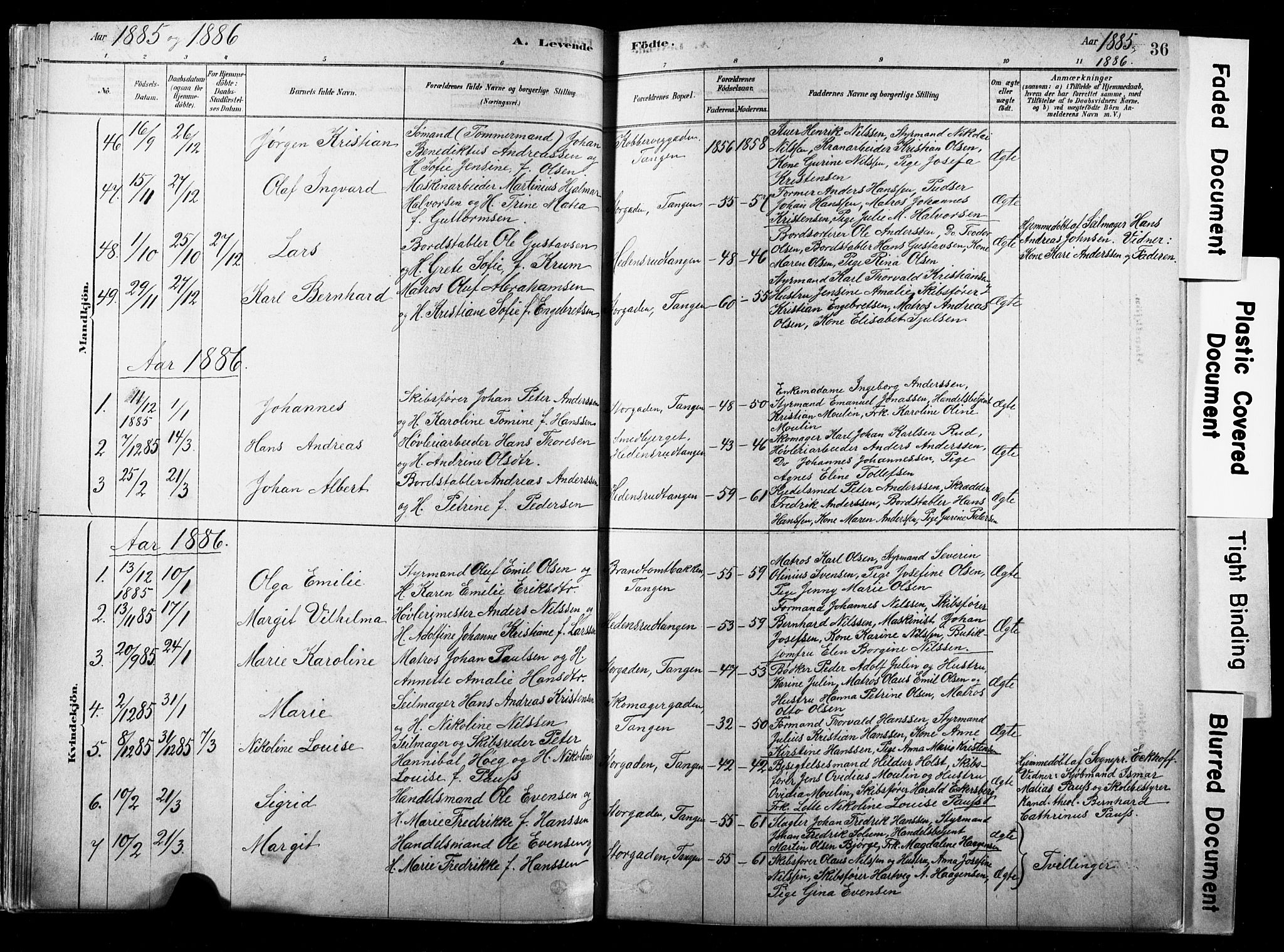 Strømsø kirkebøker, SAKO/A-246/F/Fb/L0006: Parish register (official) no. II 6, 1879-1910, p. 36
