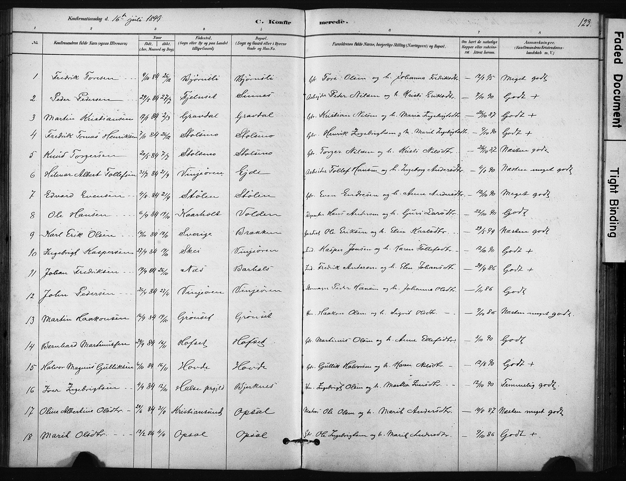 Ministerialprotokoller, klokkerbøker og fødselsregistre - Sør-Trøndelag, AV/SAT-A-1456/631/L0512: Parish register (official) no. 631A01, 1879-1912, p. 123