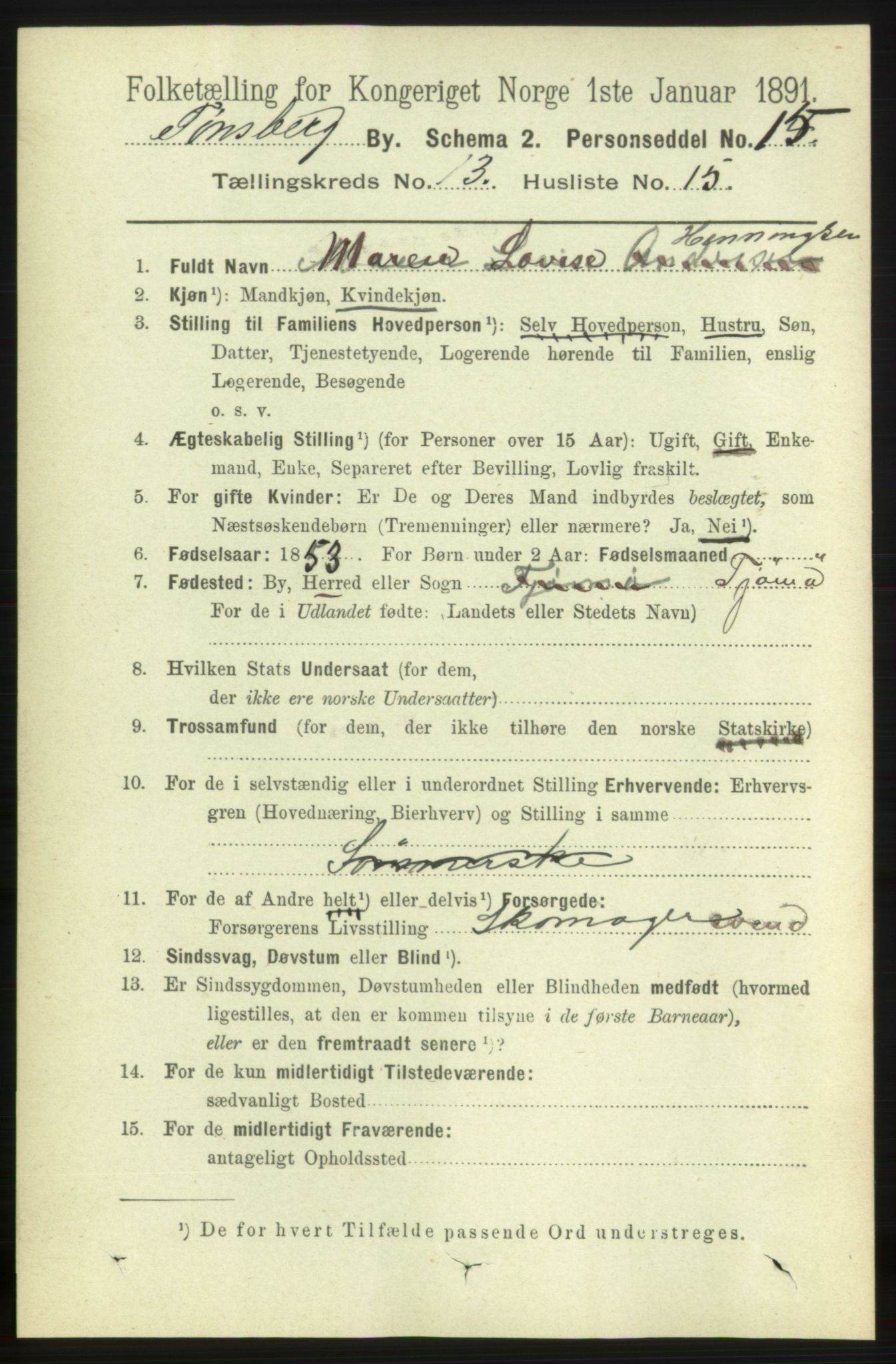 RA, 1891 census for 0705 Tønsberg, 1891, p. 4504