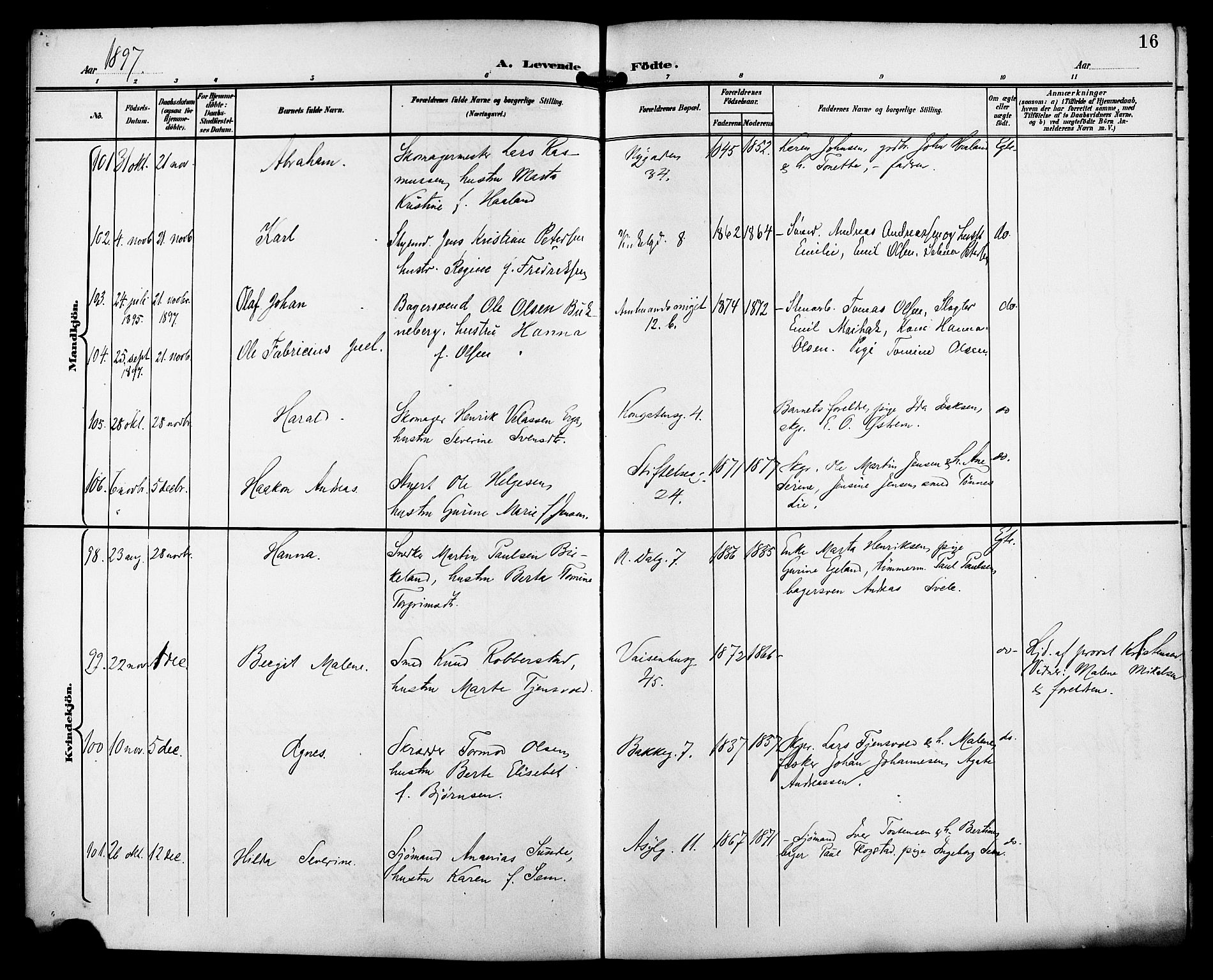 St. Petri sokneprestkontor, AV/SAST-A-101813/001/30/30BB/L0008: Parish register (copy) no. B 8, 1897-1905, p. 16