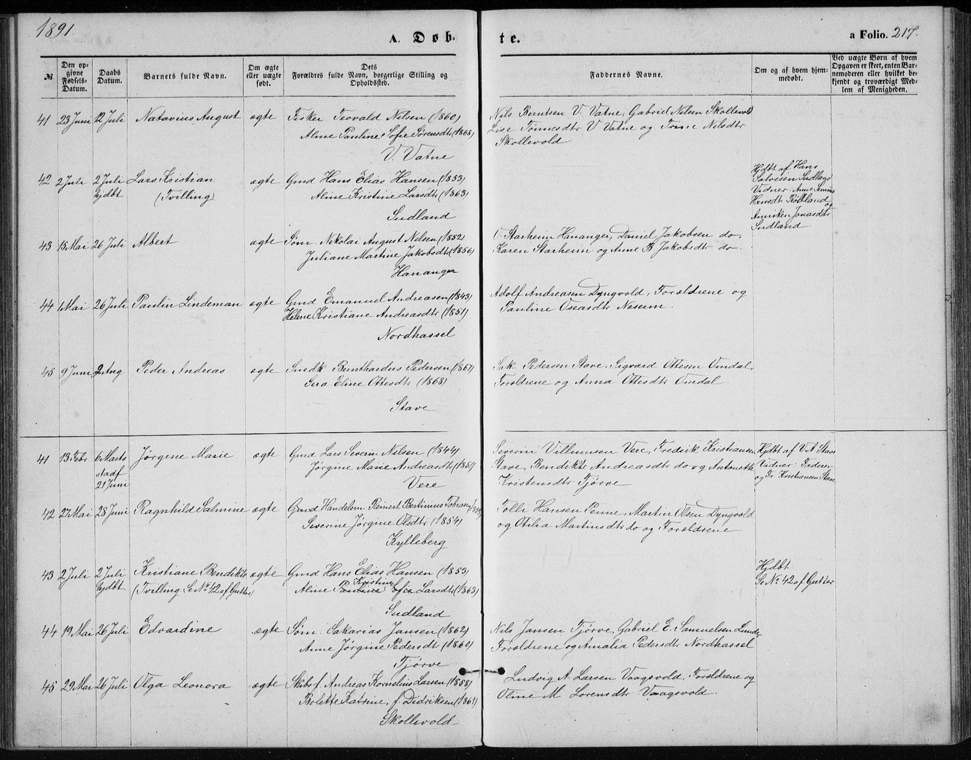 Lista sokneprestkontor, AV/SAK-1111-0027/F/Fb/L0004: Parish register (copy) no. B 4, 1877-1891, p. 217