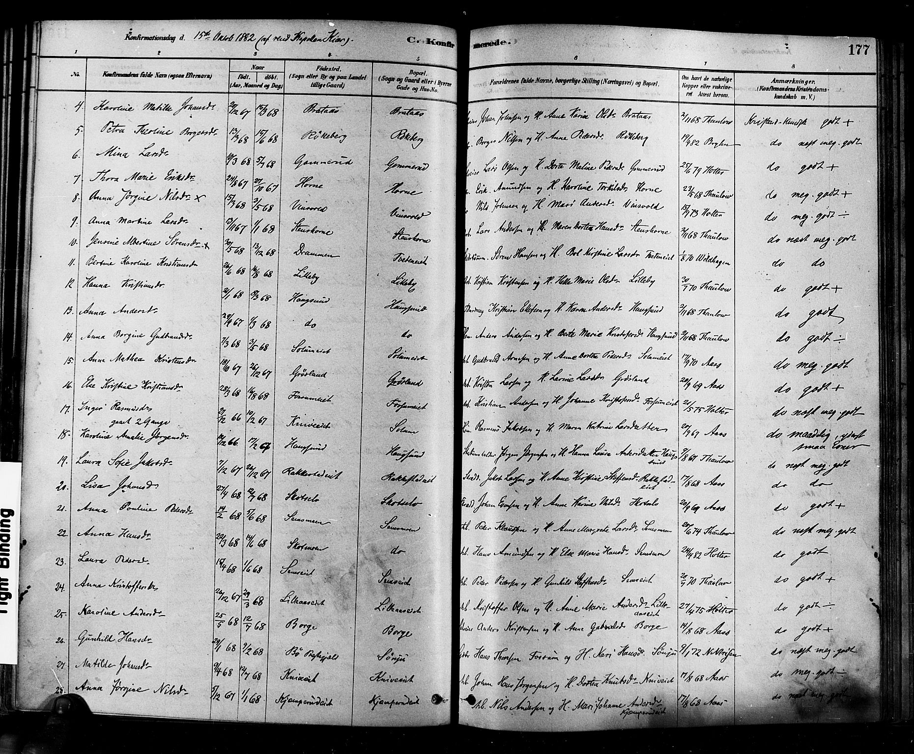 Eiker kirkebøker, AV/SAKO-A-4/F/Fb/L0001: Parish register (official) no. II 1, 1878-1888, p. 177