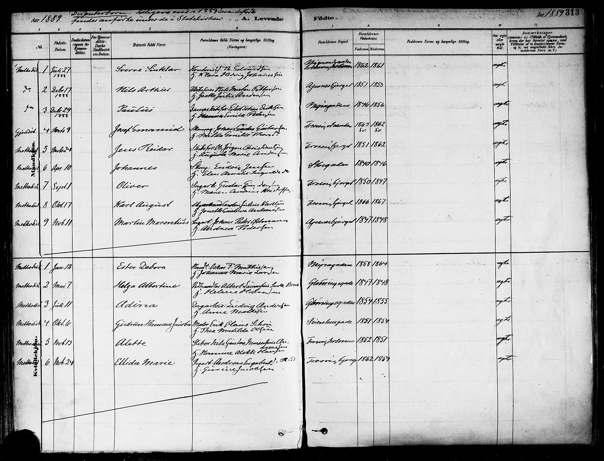 Fredrikstad domkirkes prestekontor Kirkebøker, AV/SAO-A-10906/F/Fa/L0002: Parish register (official) no. 2, 1878-1894, p. 313