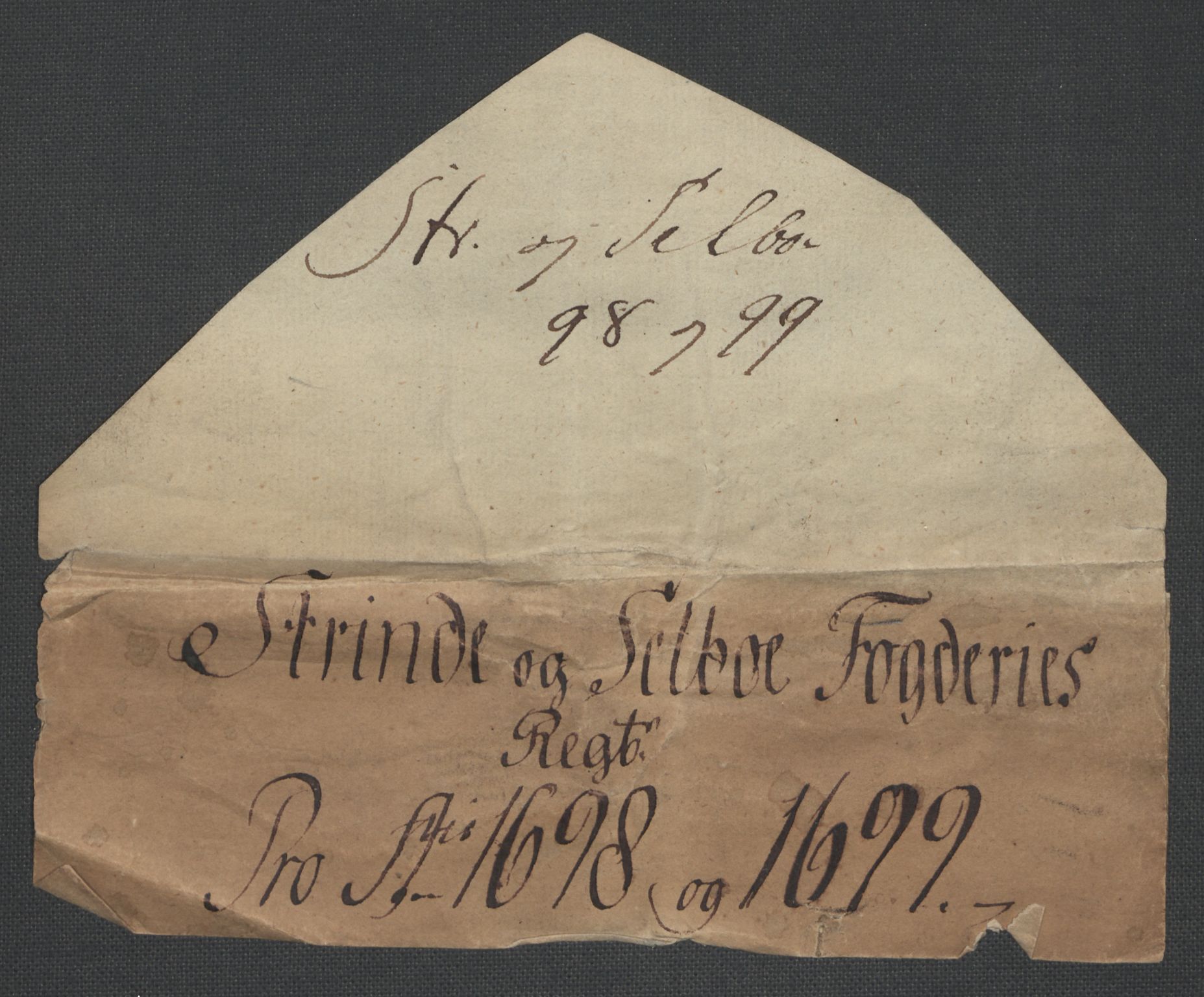 Rentekammeret inntil 1814, Reviderte regnskaper, Fogderegnskap, AV/RA-EA-4092/R61/L4107: Fogderegnskap Strinda og Selbu, 1698-1700, p. 3