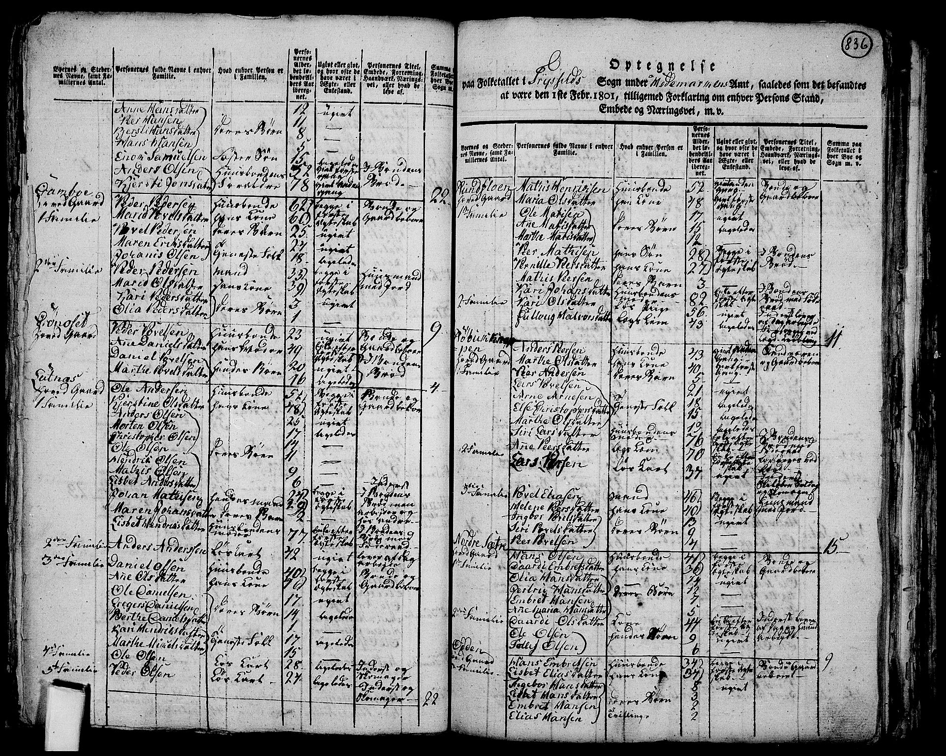 RA, 1801 census for 0428P Trysil, 1801, p. 835b-836a