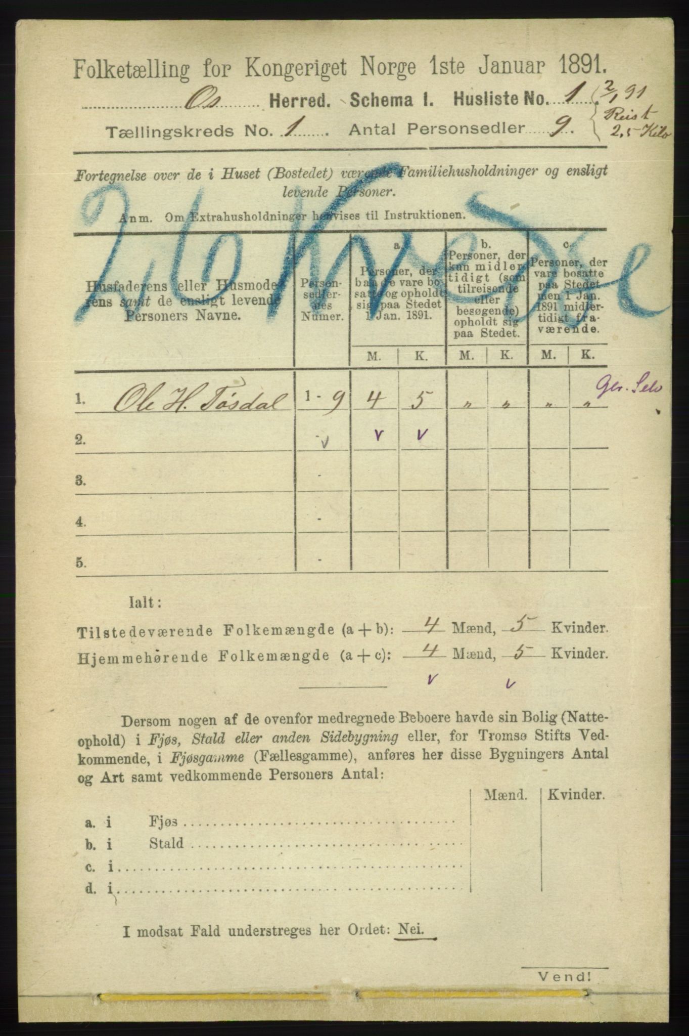 RA, 1891 census for 1243 Os, 1891, p. 36