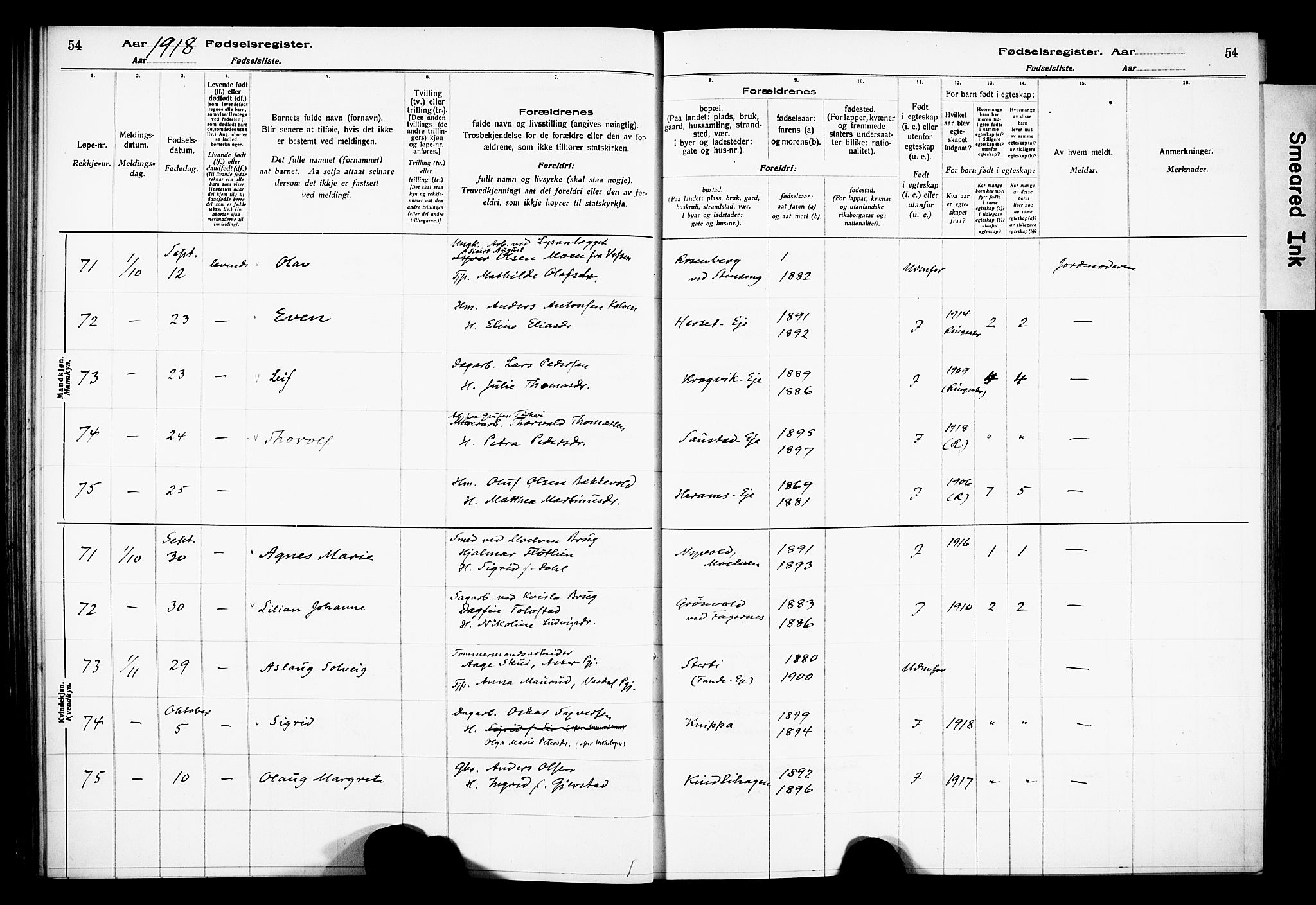 Ringsaker prestekontor, AV/SAH-PREST-014/O/Oa/L0001: Birth register no. 1, 1916-1925, p. 54