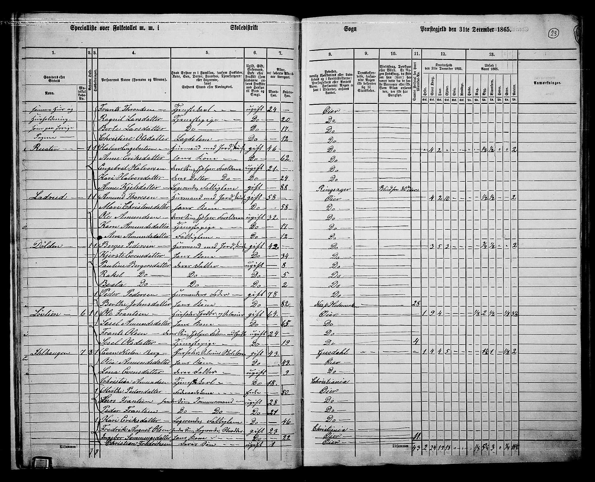 RA, 1865 census for Øyer, 1865, p. 20