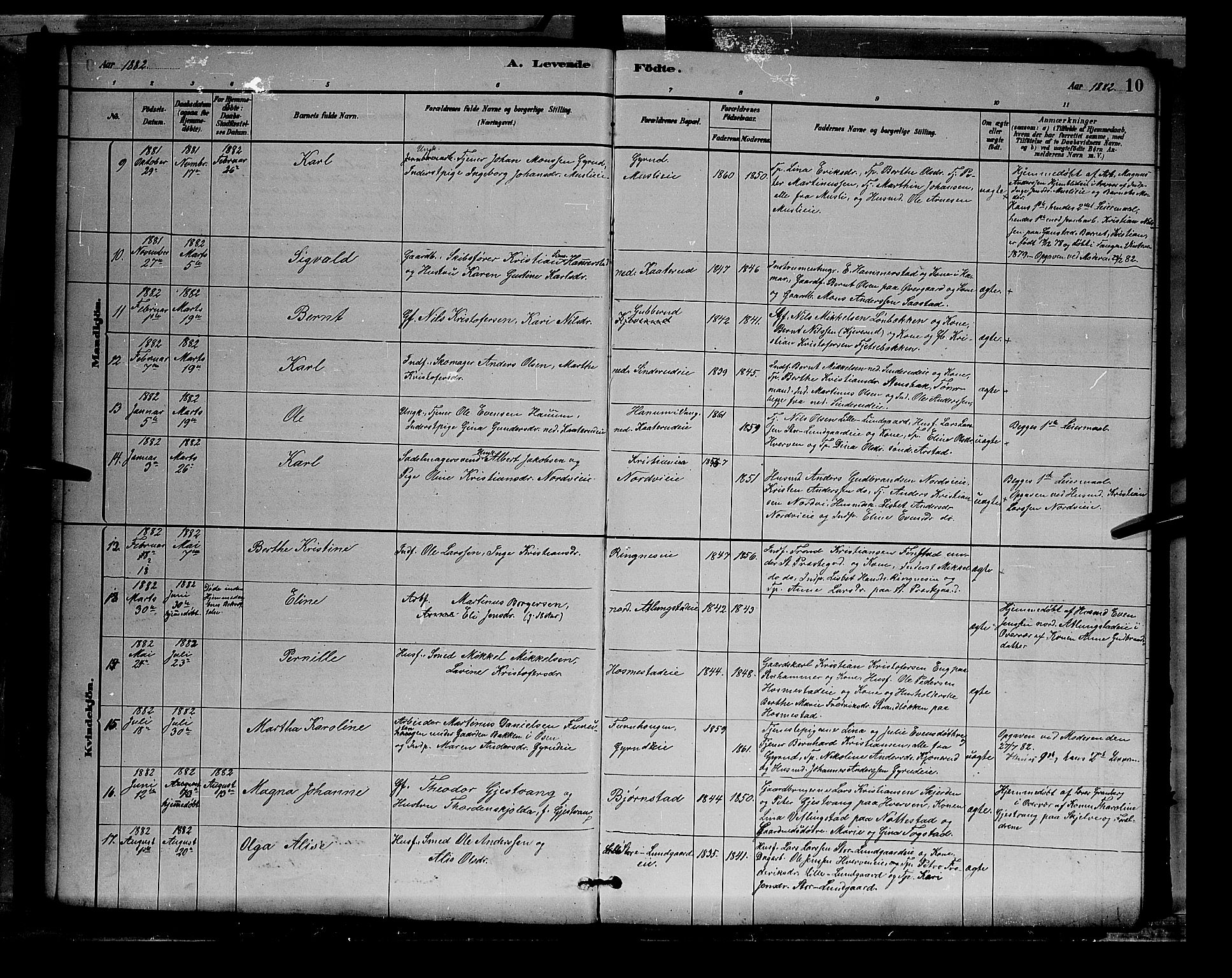 Stange prestekontor, AV/SAH-PREST-002/L/L0007: Parish register (copy) no. 7, 1880-1893, p. 10