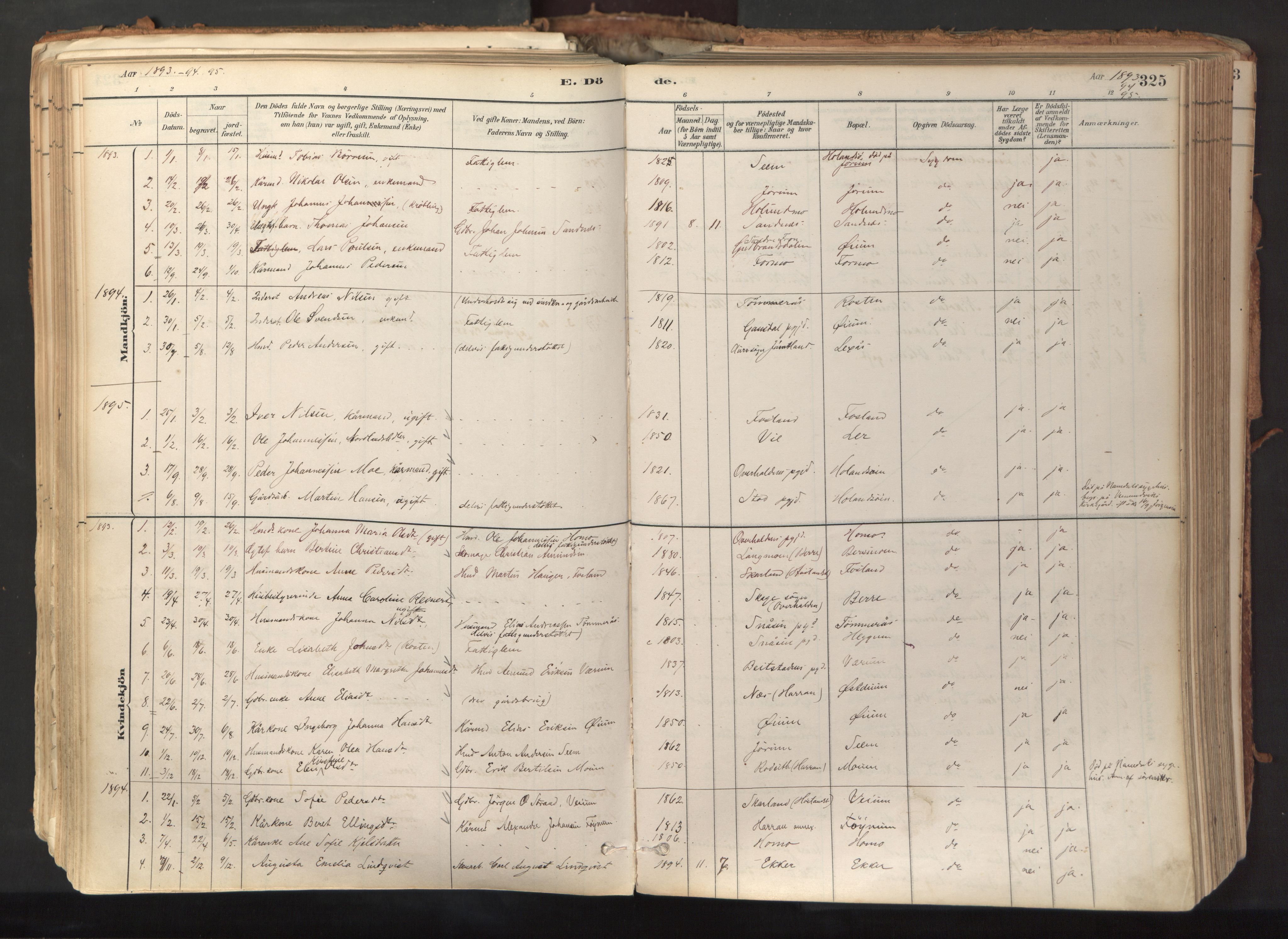 Ministerialprotokoller, klokkerbøker og fødselsregistre - Nord-Trøndelag, SAT/A-1458/758/L0519: Parish register (official) no. 758A04, 1880-1926, p. 325