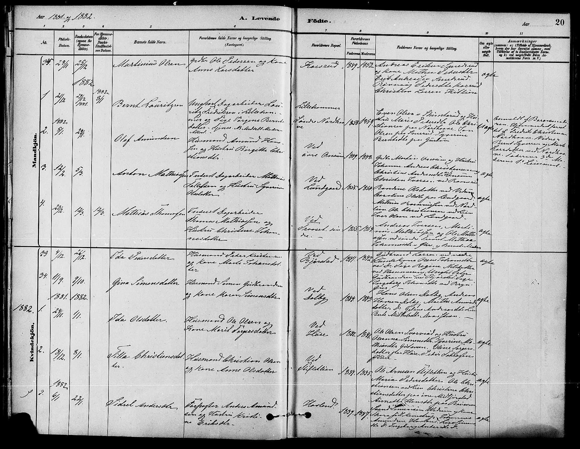 Fåberg prestekontor, SAH/PREST-086/H/Ha/Haa/L0008: Parish register (official) no. 8, 1879-1898, p. 20