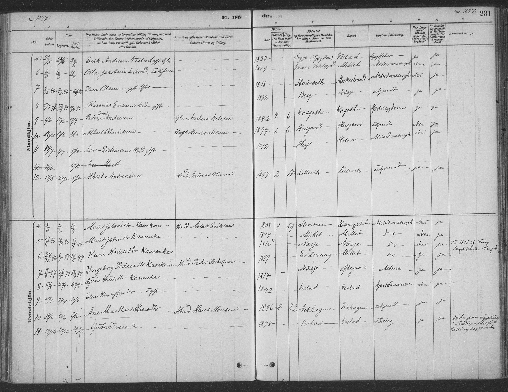 Ministerialprotokoller, klokkerbøker og fødselsregistre - Møre og Romsdal, AV/SAT-A-1454/547/L0604: Parish register (official) no. 547A06, 1878-1906, p. 231