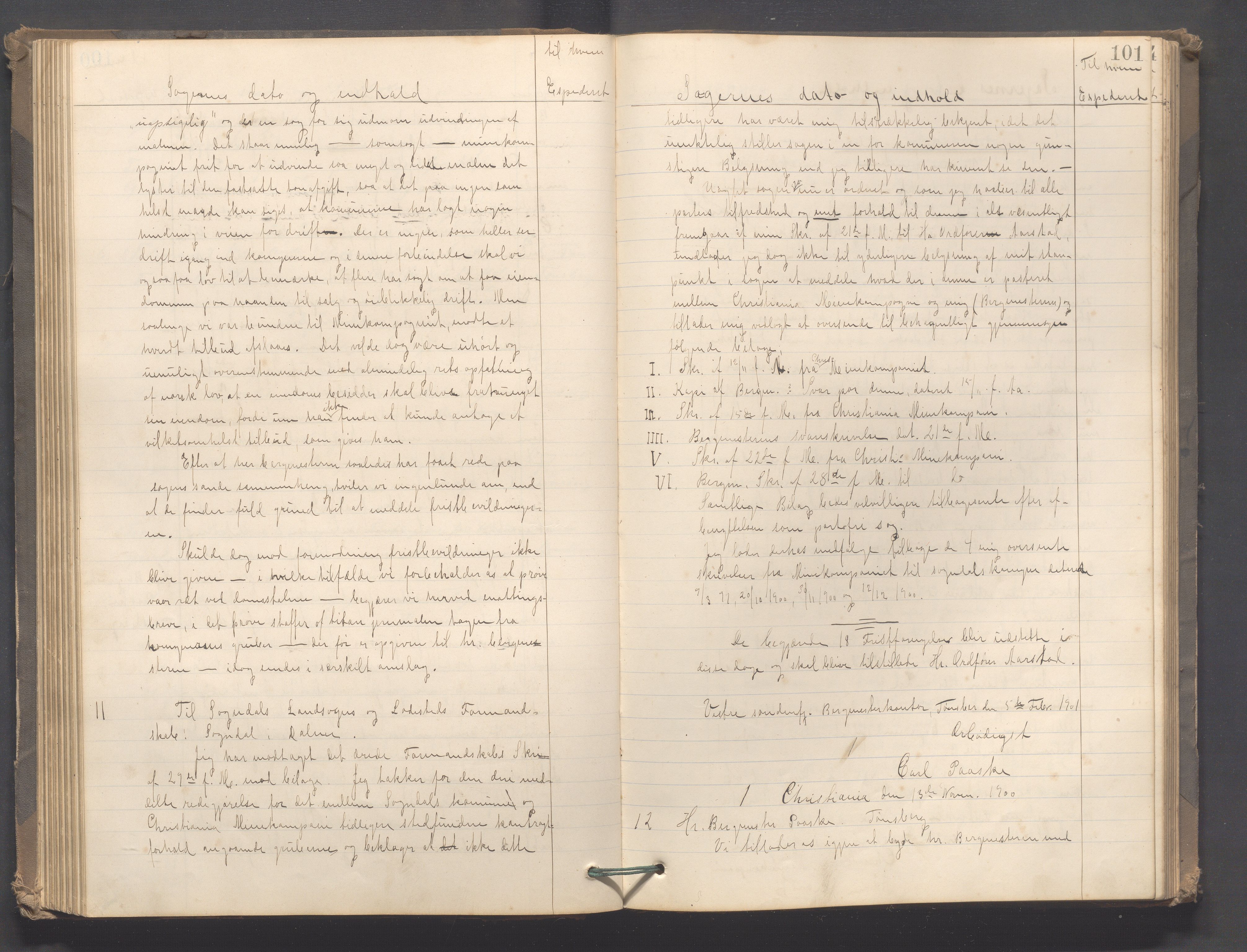 Sokndal kommune - Formannskapet/Sentraladministrasjonen, IKAR/K-101099/B/L0002: Kopibok, 1886-1904, p. 101