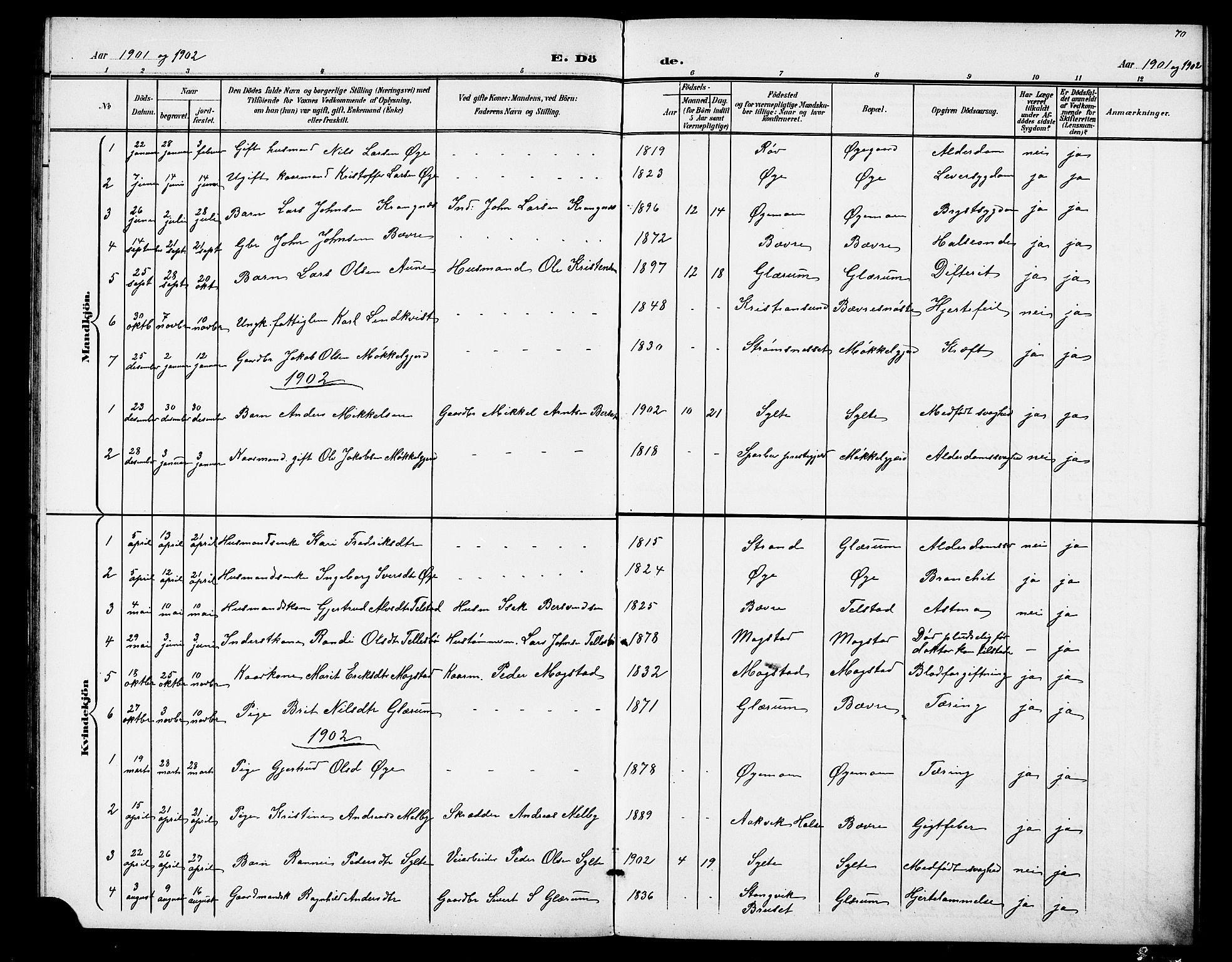 Ministerialprotokoller, klokkerbøker og fødselsregistre - Møre og Romsdal, AV/SAT-A-1454/595/L1053: Parish register (copy) no. 595C05, 1901-1919, p. 70