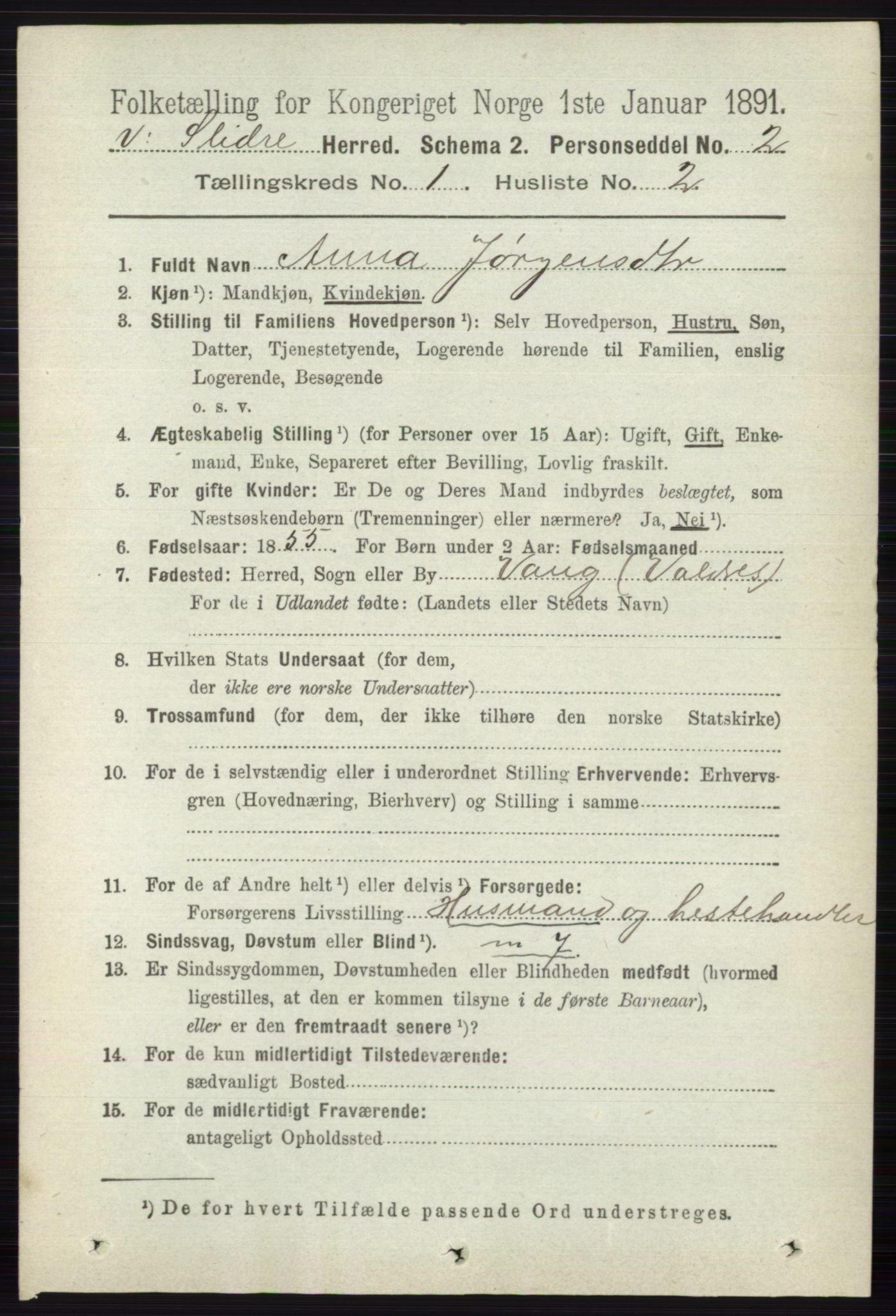 RA, 1891 census for 0543 Vestre Slidre, 1891, p. 103