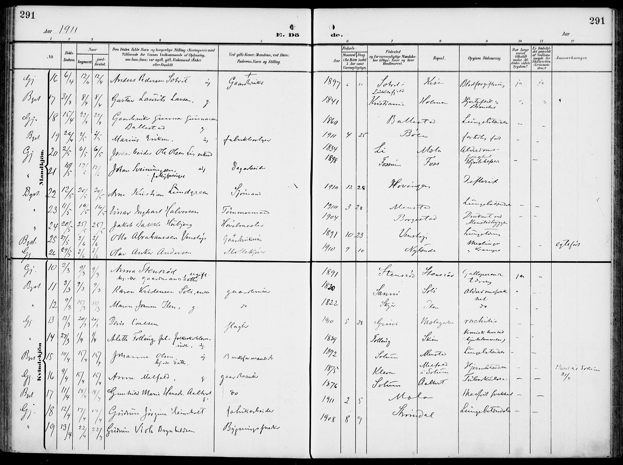 Gjerpen kirkebøker, SAKO/A-265/F/Fa/L0012: Parish register (official) no. I 12, 1905-1913, p. 291