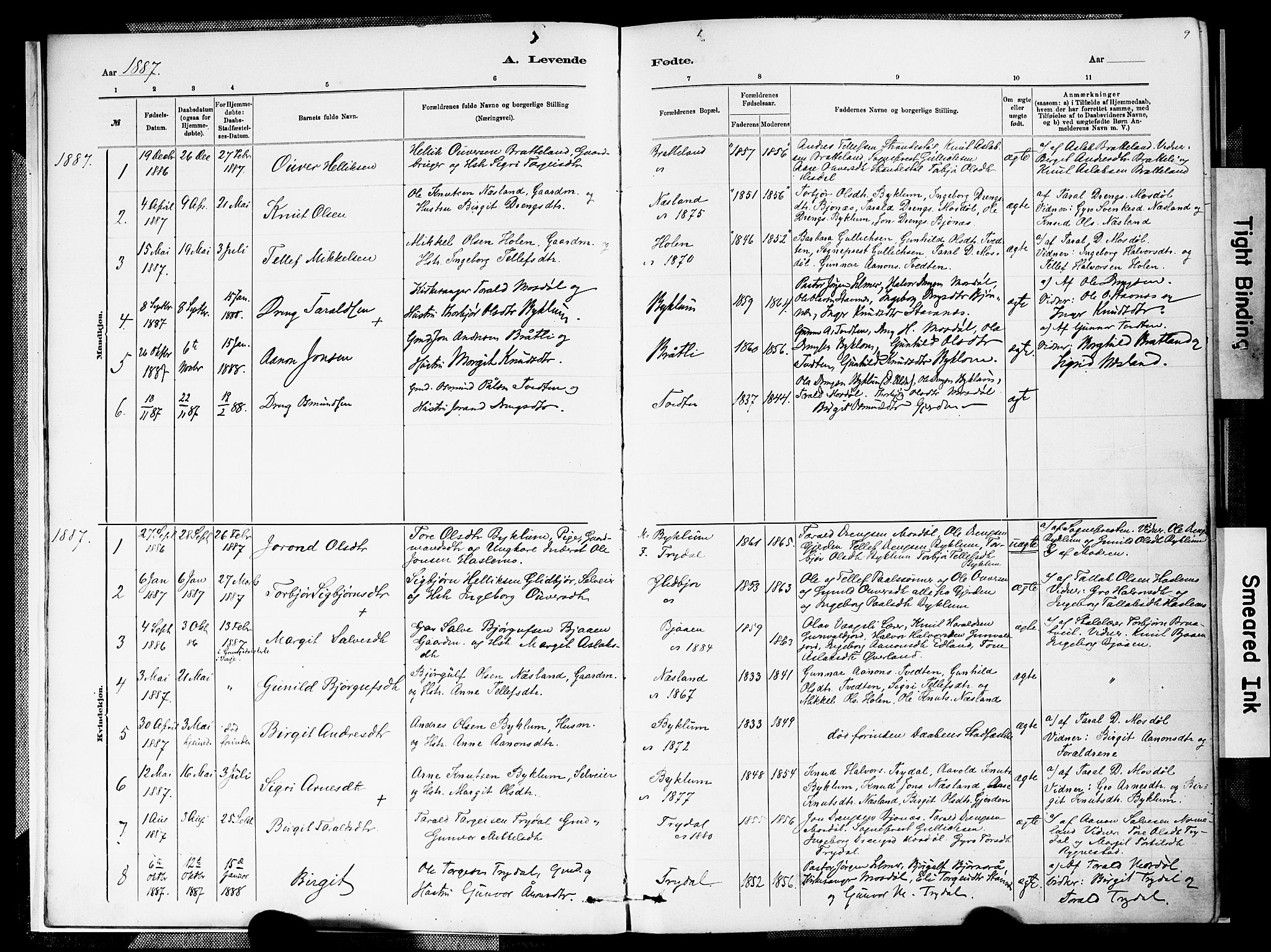 Valle sokneprestkontor, SAK/1111-0044/F/Fa/Faa/L0001: Parish register (official) no. A 1, 1882-1907, p. 9