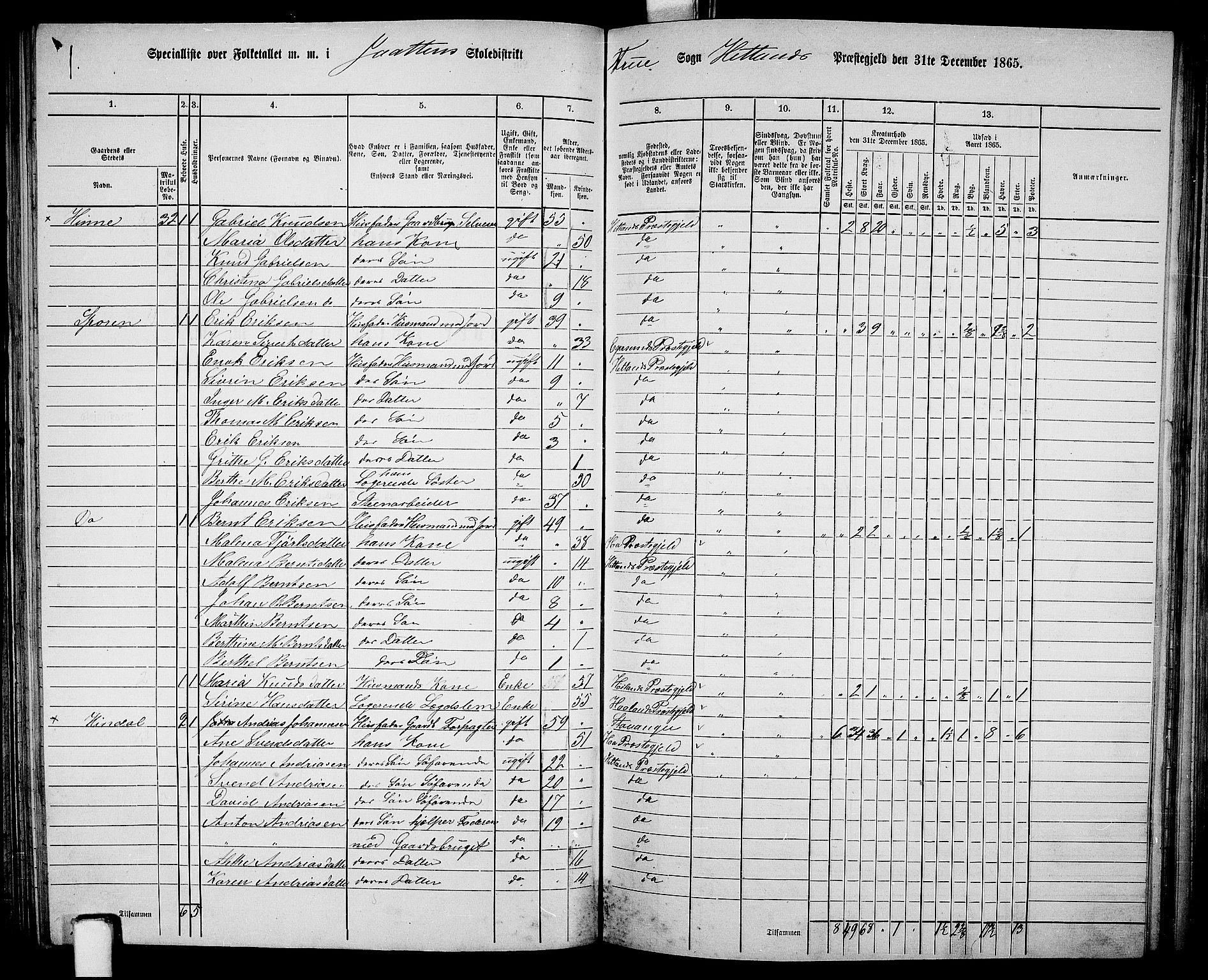 RA, 1865 census for Hetland, 1865, p. 104